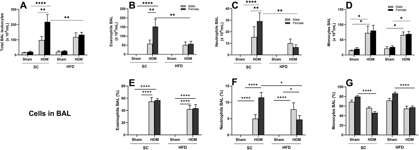 Effect of 13-week SC or HFD diet on total and differential leukocyte count (A–D) and percentage of cells (E–G) in bronchoalveolar lavage on male and female C57Bl/6 mice challenge with HDM. Total number of Leukocyte (A), Eosinophils (B,E), Neutrophils (C,F) and monocytes/macrophages (D,G). The values presented are expressed as Mean ± SEM. In accordance with the data distribution, tests for outlier exclusion were performed using the ROUT test with a Q-value of 1%. Subsequently, a three-way ANOVA followed by Tukey’s post-hoc test. Sham animals. N = 6/group for SC animals and N = 8/group for HFD animals. The differences are visually represented as follows: *p < 0.05; **p < 0.01; ****p < 0.0001.