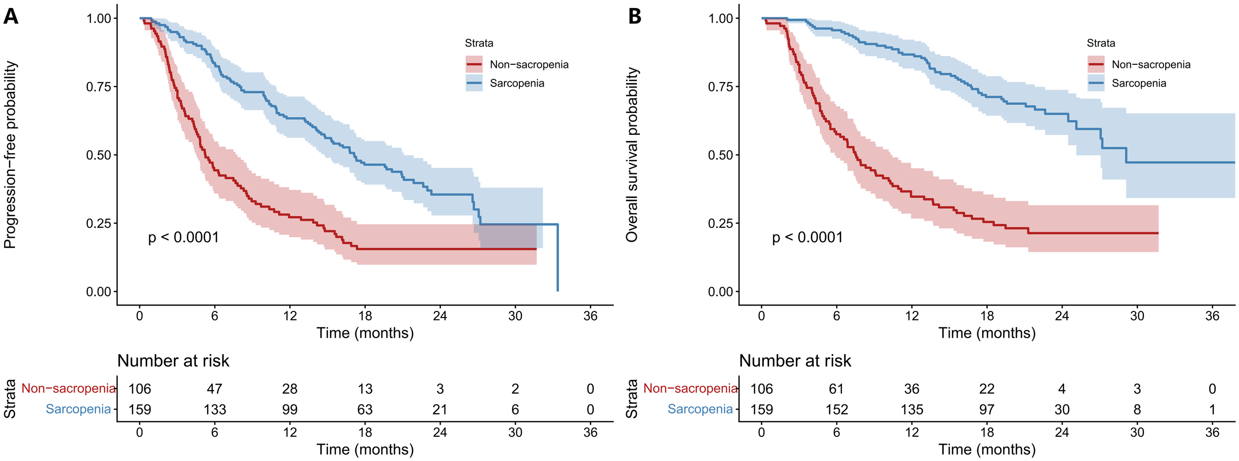 Kaplan-Meier graphs showing survival probabilities over 36 months. Chart A displays progression-free survival, while Chart B shows overall survival. Red lines represent individuals with sarcopenia, and blue lines represent non-sarcopenia. Both charts indicate lower survival probabilities for sarcopenia with statistical significance p < 0.0001. The number at risk for each group is noted beneath the graphs.
