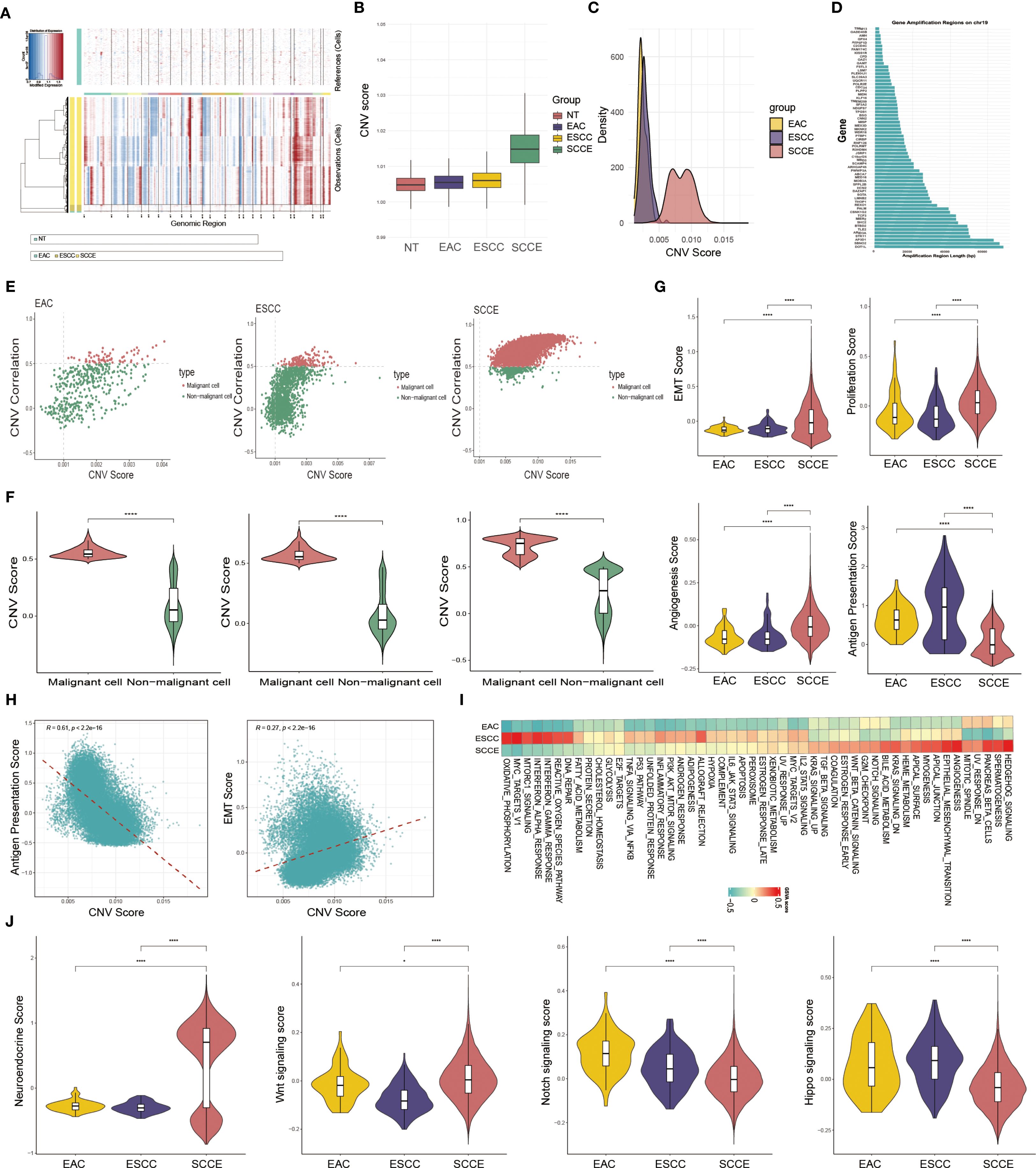 Multiple panels display various analyses related to copy number variation (CNV) scores across different conditions and cell types. Panel A shows a heatmap of genomic regions. Panel B (boxplot) and Panel C (density plot) depict CNV score distributions for different groups. Panel D lists gene amplification regions. Panels E and F contain scatter and violin plots comparing CNV scores between malignant and non-malignant cells. Panel G includes additional violin plots for scores like EMT and proliferation. Panel H correlates angiogenesis and EMT scores with CNV scores. Panel I presents a heatmap of gene expression. Panel J shows violin plots for signaling scores across groups.