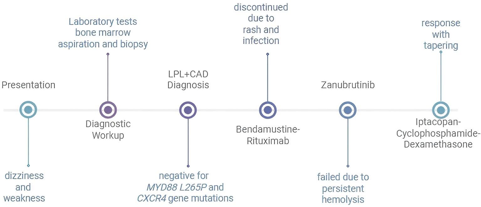 Timeline of a medical case showing the diagnostic and treatment process. It starts with presentation due to dizziness and weakness, followed by a diagnostic workup with bone marrow tests. Diagnosed with LPL and CAD, negative for MYD88 L265P and CXCR4 gene mutations. Treatments involved Bendamustine-Rituximab, discontinued due to rash, and Zanubrutinib, failed due to hemolysis. Iptacopan, Cyclophosphamide, and Dexamethasone were administered, resulting in a positive response with tapering.