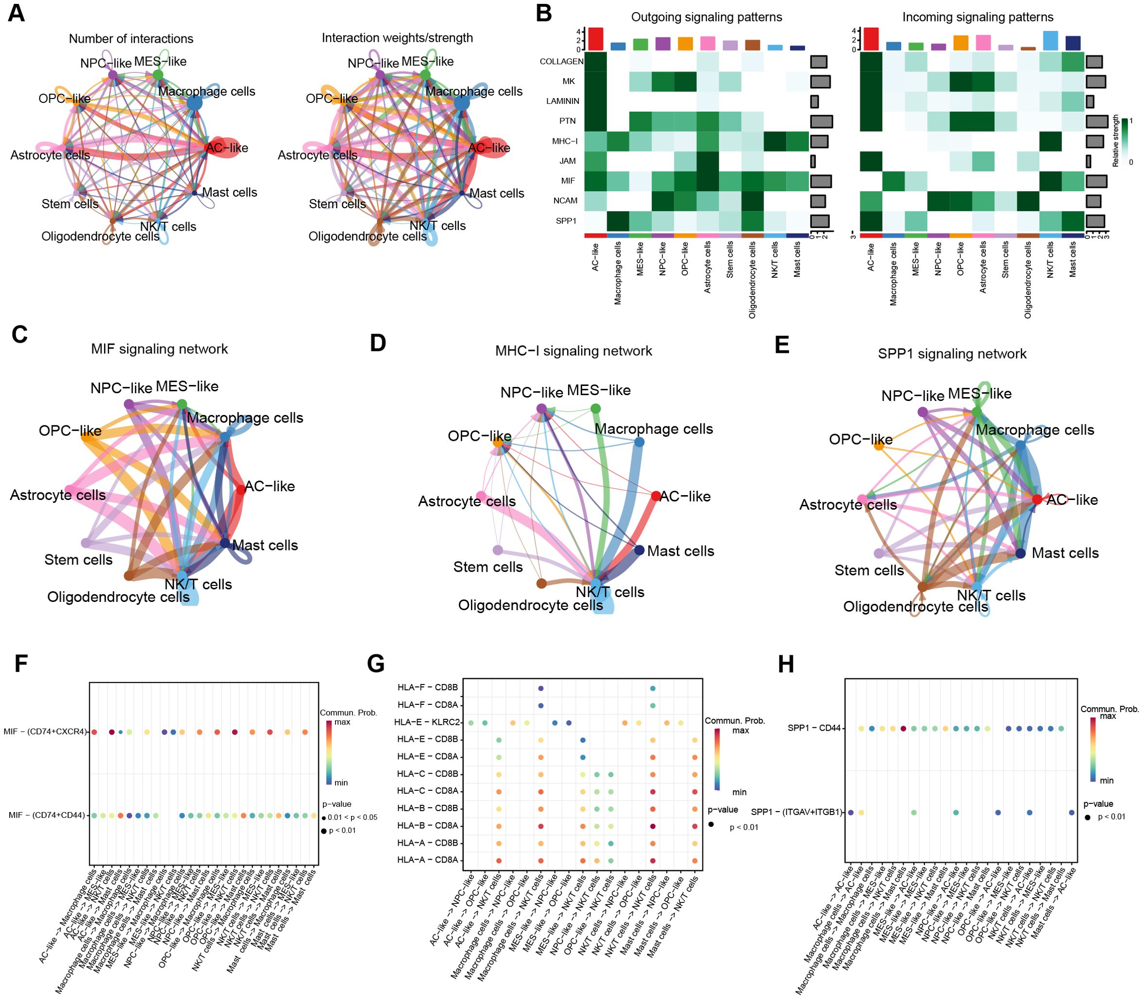 (A) Two circular network diagrams compare the number of interactions and interaction strength among different cell types, including AC-like, NPC-like, MES-like, and macrophage cells. (B) Heatmaps display outgoing and incoming signaling patterns, with color intensity indicating signaling strength across various cell types. (C-E) Circular network diagrams illustrate MIF, MHC-I, and SPP1 signaling networks among cell types. (F-H) Scatter plots show communication probabilities for specific signaling pathways, with dot size indicating p-values and color representing communication probability.
