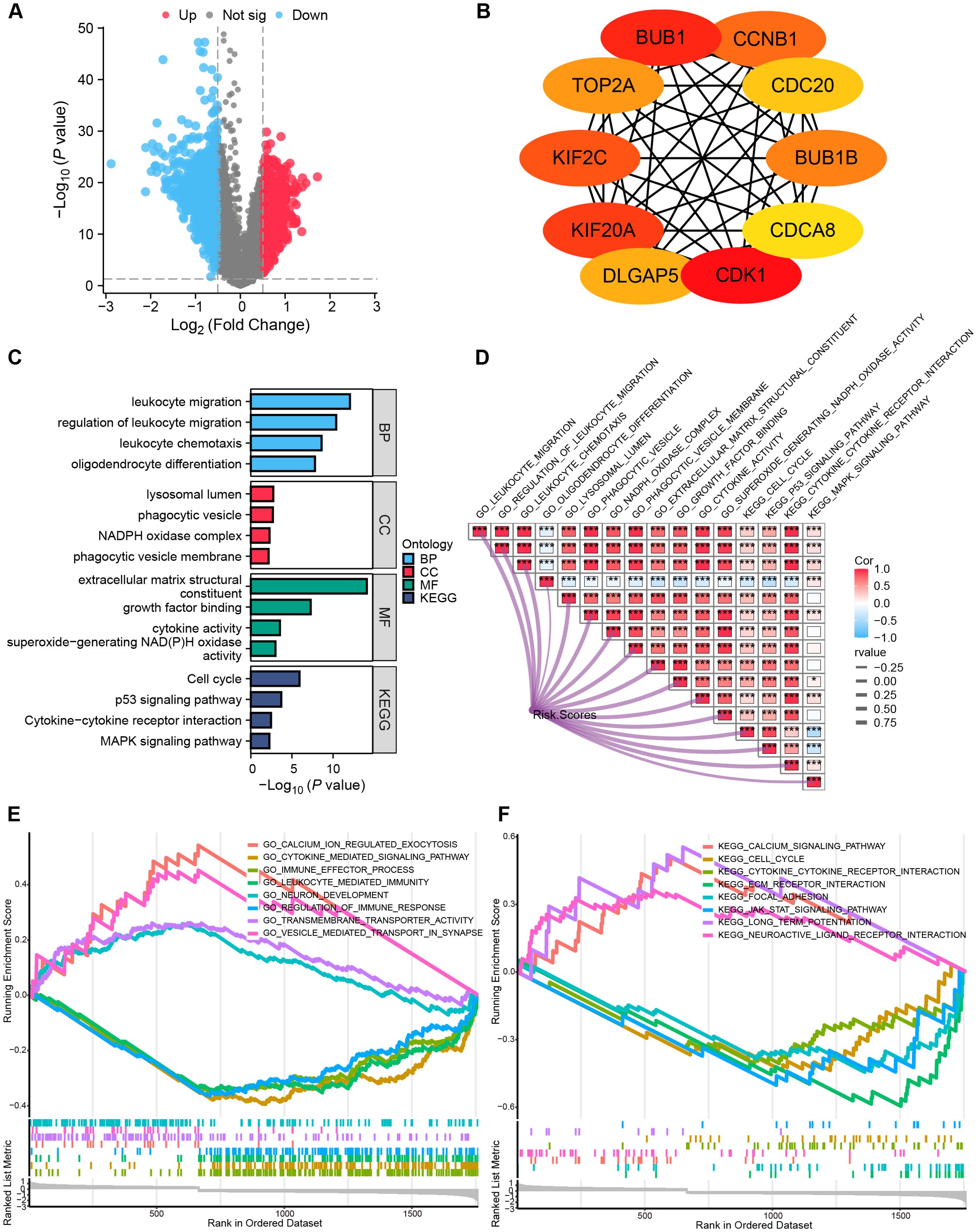 Composite image showing six panels with different bioinformatics analyses: (A) A volcano plot displaying gene expression data, highlighting significant upregulated (red), downregulated (blue), and non-significant (gray) genes. (B) A protein-protein interaction network diagram with identified proteins colored from red to orange. (C) A bar chart illustrating enriched biological processes (BP), cellular components (CC), molecular functions (MF), and KEGG pathways, ordered by significance. (D) A heatmap showing correlation of risk scores with annotations and significance markers. (E) and (F) Line graphs of gene set enrichment analysis, showing running enrichment scores and ranked lists of gene sets, with various pathways denoted in different colors.