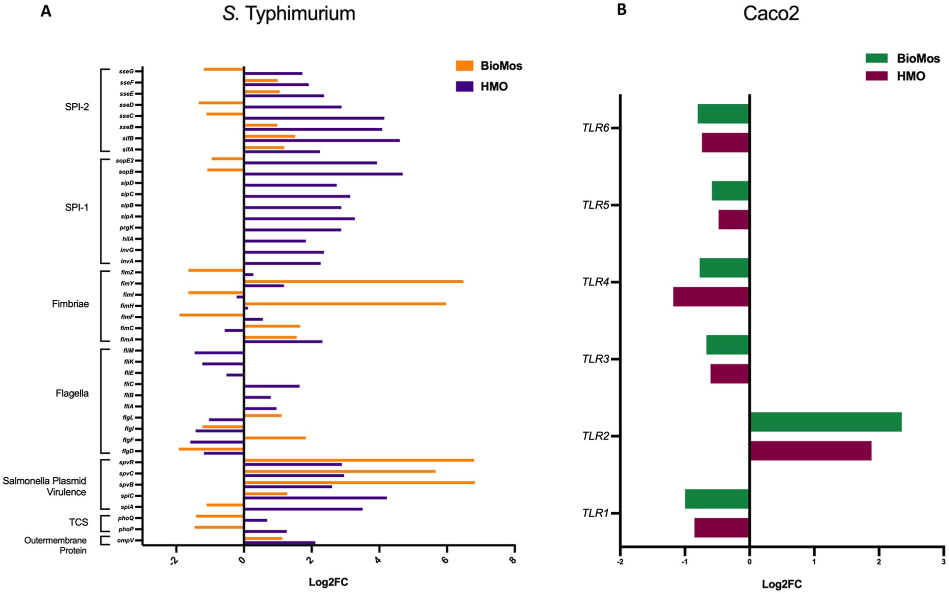Bar graphs comparing gene expression changes. Panel A shows S. Typhimurium expression with orange (BioMos) and purple (HMO) bars across various genes. Panel B displays Caco2 expression with green (BioMos) and maroon (HMO) bars for TLR genes. Both panels use a Log2FC scale.