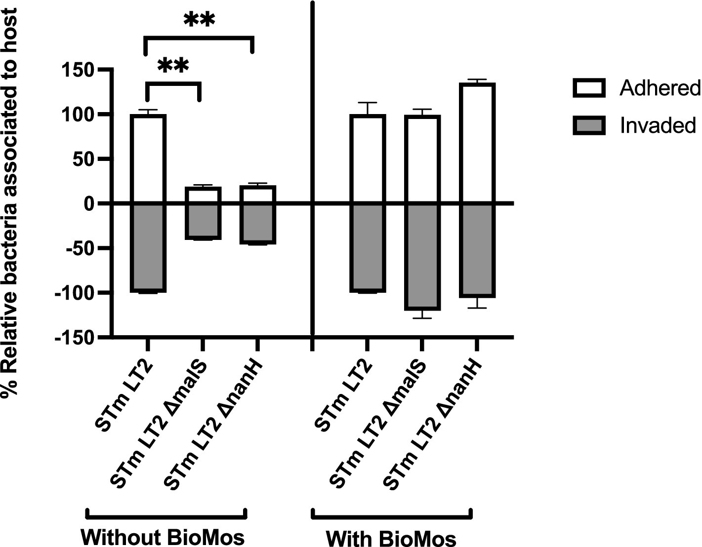Bar graph comparing relative bacteria association with host for different gene knockouts of glycosyl hydrolase enzymes in S. Typhimurium (STm LT2, STm LT2 ΔmalS, STm LT2 ΔnanH) with and without BioMos. Bars are divided into adhered (white) and invaded (gray). Significant differences are indicated with double asterisks.