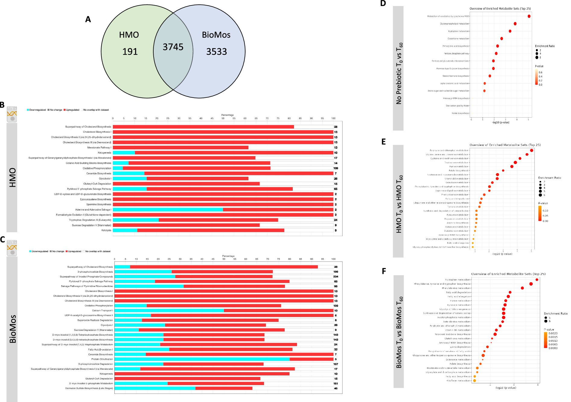 A Venn diagram and multiple bar and scatter plots comparing the effect of HMO and BioMos on host epithelial cells. Panel A displays overlapping regions with HMO having 191 unique elements, BioMos having 3533, and 3745 shared. Panel B and C show horizontal bar charts for HMO and BioMos indicating gene expression. Panel D, E, and F are scatter plots labeled No Prebiotic, HMO T6 vs T0, and BioMos T6 vs T0, respectively, showing data distribution and correlation with dot size and color variation of metabolic pathways.