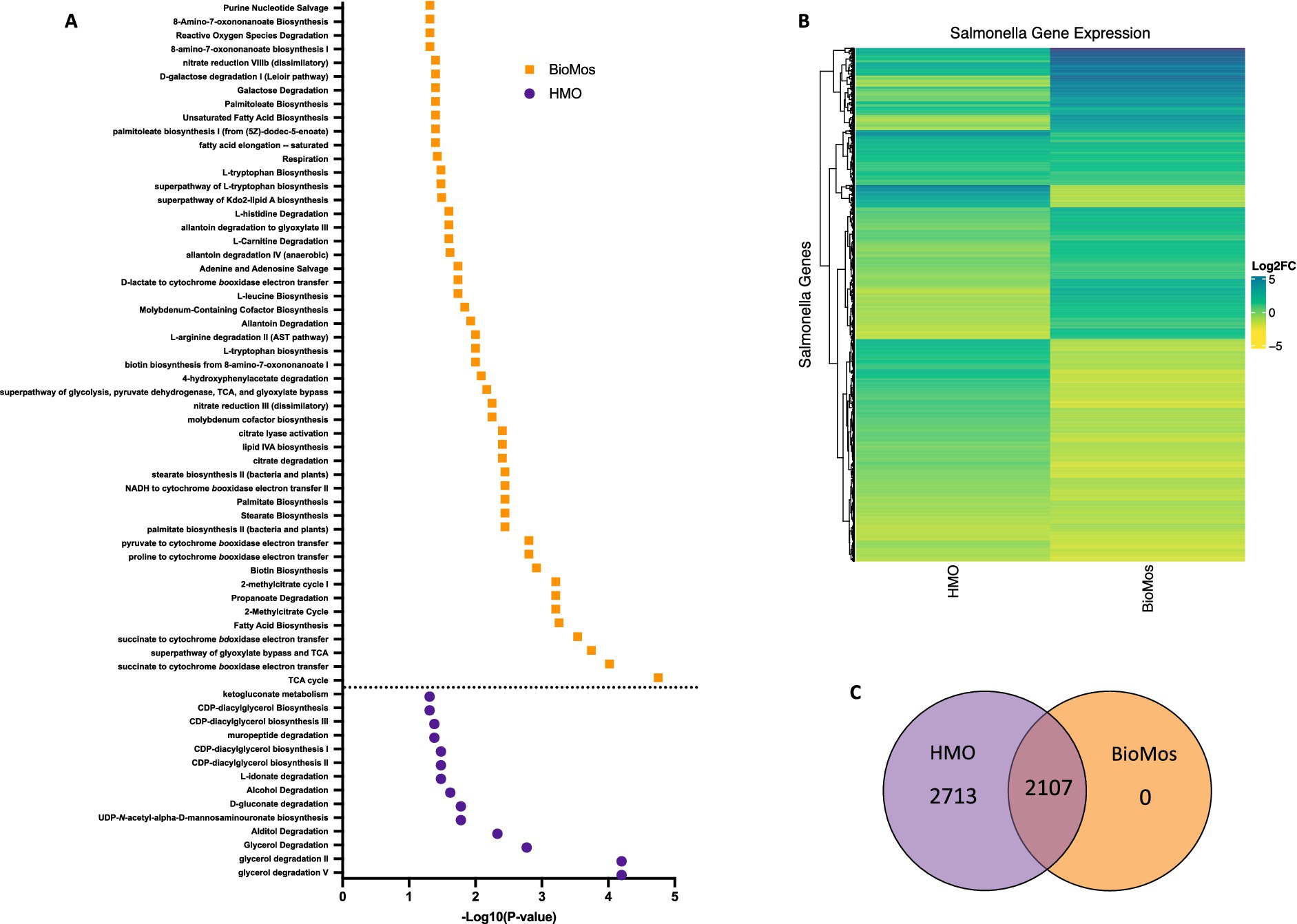 Panel A displays a scatter plot with pathways represented by orange and blue dots for BioMos and HMO, treated Salmonella respectively, against a -log10(P-value) scale. Panel B shows a heatmap of Salmonella gene expression comparing HMO and BioMos, with a color gradient from blue to yellow indicating log2 fold change. Panel C contains a Venn diagram showing overlap and differences in gene identification between HMO (2,713) and BioMos (2,107 common).