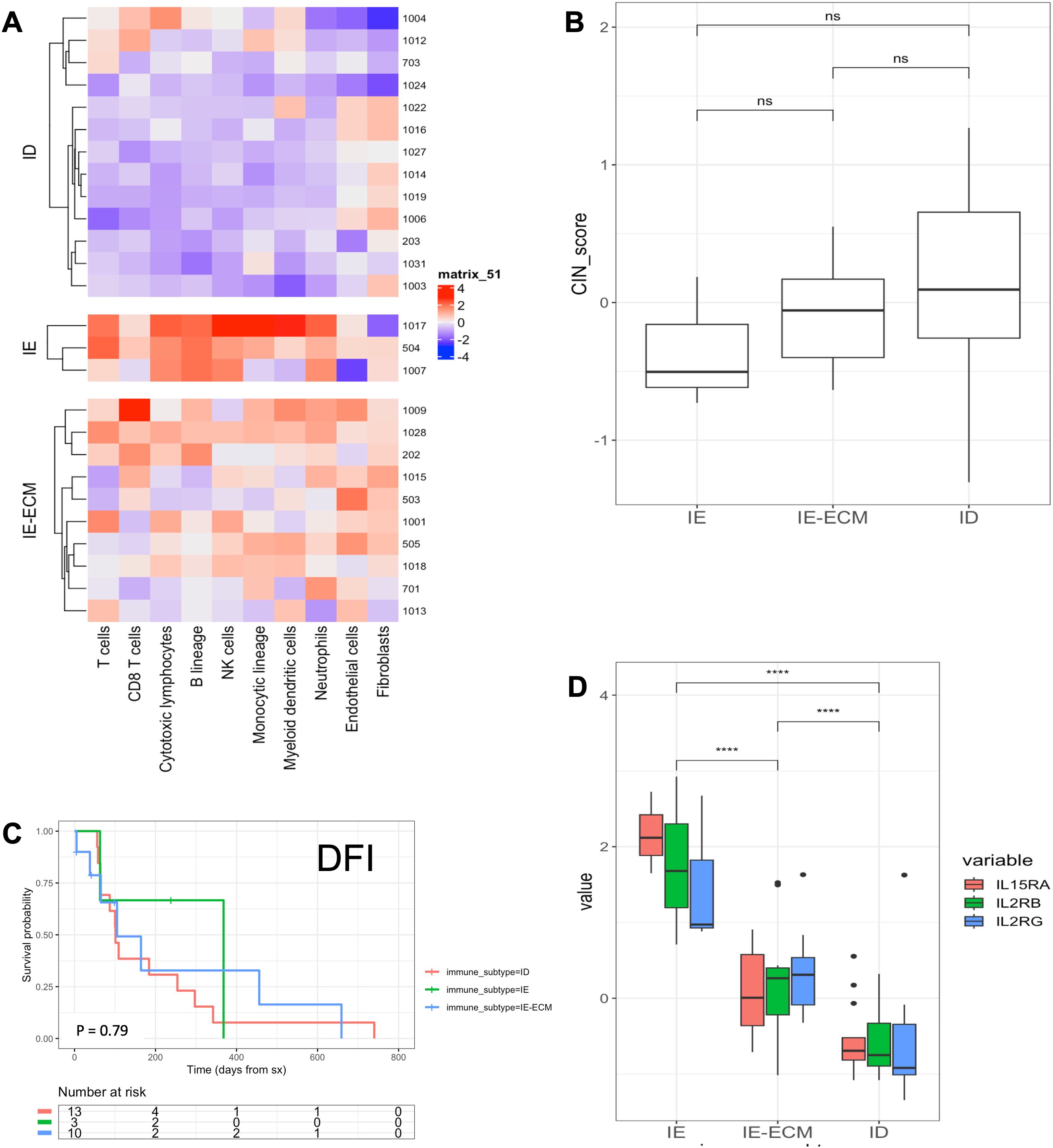 Heatmap and box plots depicting immune cell data and scores. Panel A shows a clustered heatmap of cell types across different samples. Panel B displays box plots of CNI scores for categories IE, IE-ECM, and ID with nonsignificant differences. Panel C is a Kaplan-Meier plot showing survival probability over time for immune subtypes; p-value equals 0.79. Panel D has box plots comparing values for IL15RA, IL2RB, and IL2RG across subtypes, with significant differences marked by asterisks.