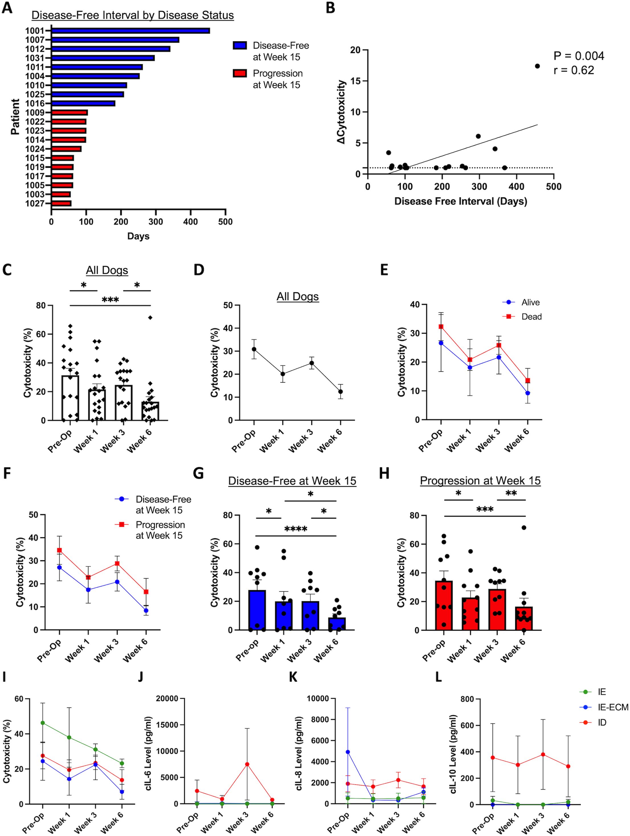 Multiple graphs show data related to disease-free intervals and cytotoxicity in dogs. Chart A displays disease-free intervals by patient, with blue indicating disease-free at week fifteen and red indicating progression. Graph B shows a positive correlation between disease-free days and increased cytotoxicity (r = 0.62, p = 0.004). Graphs C to H compare cytotoxicity percentages at different times, highlighting differences between pre-operation, weeks one, three, and six, with significant variations marked. Graphs I to L display cytotoxicity and cIL-6 and cIL-10 levels over time, differentiating between IE, IE-ECM, and ID groups. All figures include error bars and significance markers.