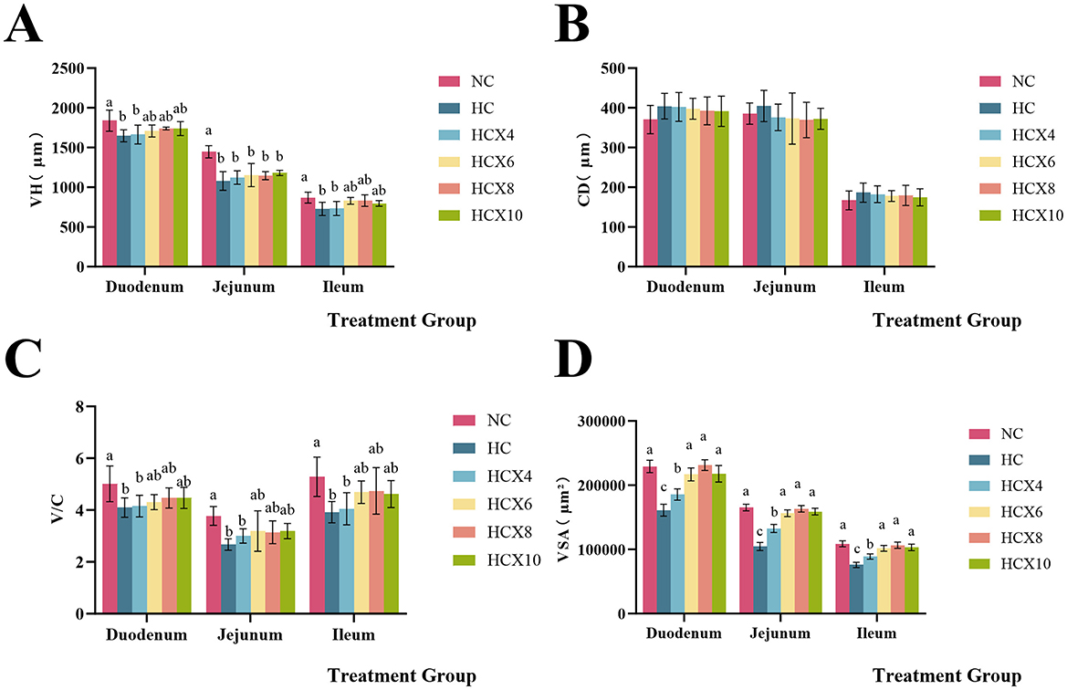 Four bar charts labeled A, B, C, and D compare villus height (VH), crypt depth (CD), villus-to-crypt ratio (V/C), and villus surface area (VSA) across the duodenum, jejunum, and ileum in different groups: NC, HC, HCX4, HCX6, HCX8, and HCX10. Chart A shows VH, B shows CD, C shows V/C, and D shows VSA, with variations across groups and intestinal sections. Error bars denote standard deviations.