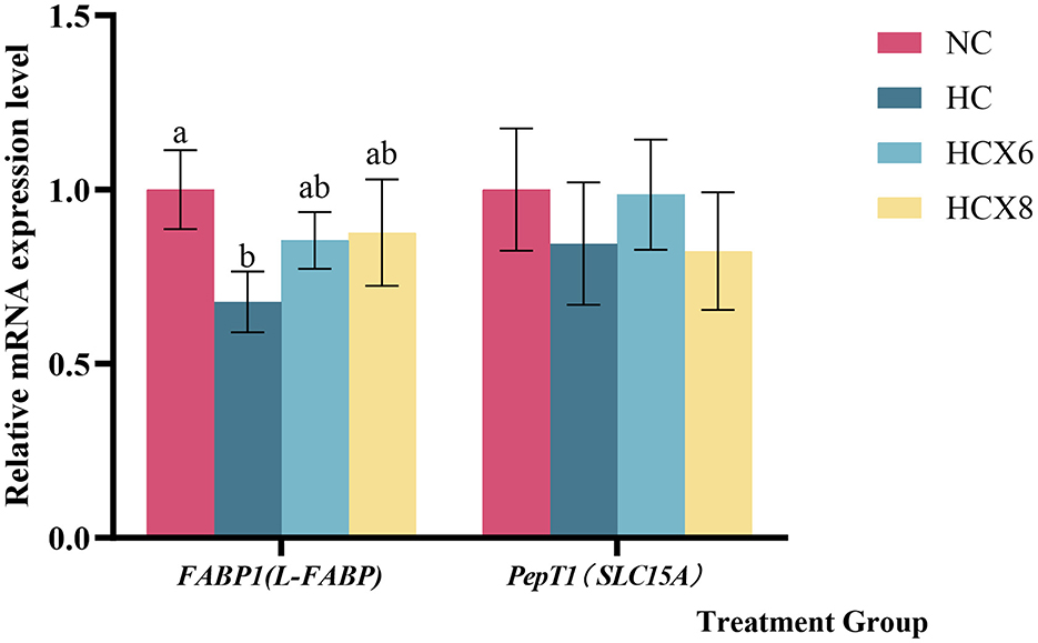 Bar graph showing relative mRNA expression levels of FABP1 and PepT1 across four conditions: NC (pink), HC (dark blue), HCX6 (light blue), HCX8 (yellow). FABP1 expression shows variation, with NC the highest, followed by HCX6, HCX8, and HC. PepT1 expression is similar across all conditions. Error bars indicate variability.