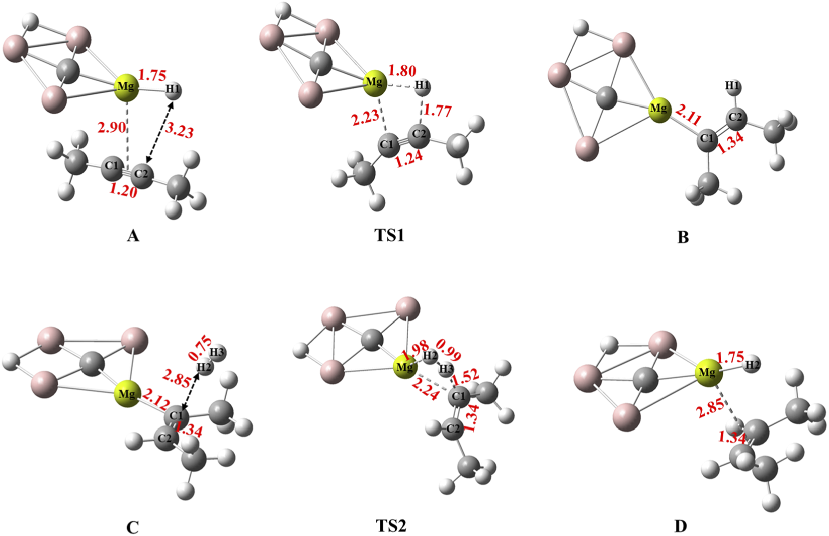 Illustrates energy minimized structures A, B, C, D, TS1, and TS2. Bond lengths are labeled in red, showing the distances between atoms.