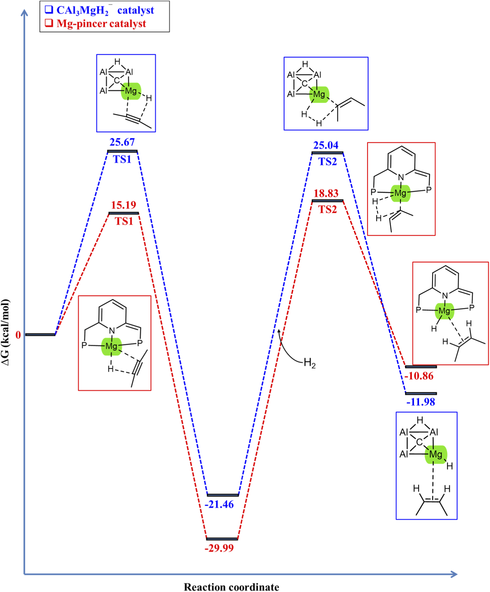 Reaction energy profile comparing CAl₃MgH₂⁻ and Mg-pincer catalysts. The y-axis is labeled ΔG (kcal/mol), and the x-axis is the reaction coordinate. Two pathways with transition states (TS1 and TS2) are shown: blue for the CAl₃MgH₂⁻ catalyst and red for the Mg-pincer catalyst. Each energy levels are mentioned. The inset displays molecular structures.