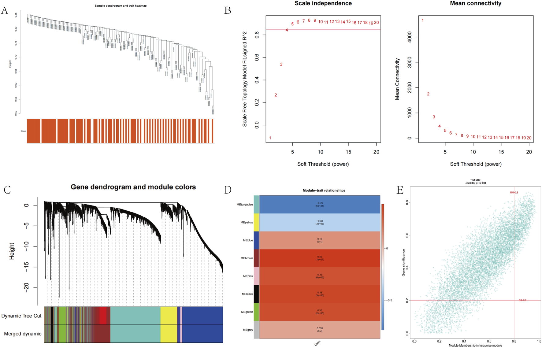 A composite image of various data visualizations related to gene analysis:A. Dendrogram showing hierarchical clustering and a heatmap, with red indicating trait presence.B. Line plots showing scale independence (R²) and mean connectivity against soft threshold power, emphasizing values for thresholds between five and twenty.C. Gene dendrogram with module colors, illustrating hierarchical clustering with colored segments indicating module association.D. Heatmap of module-trait relationships, with correlation values and associated p-values, showing varying strengths and significances represented by different colors.E. Scatter plot displaying gene significance versus module membership, highlighting a correlation with labels MAGA3 and GGA3.Each visualization is part of a network analysis study.