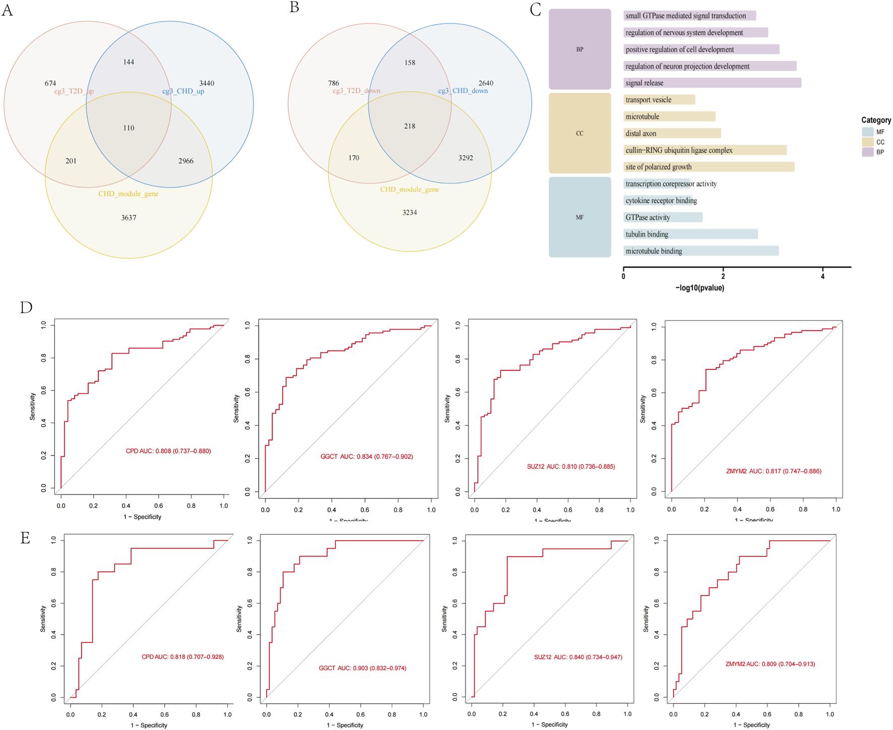 Venn diagrams A and B display gene overlap among different categories such as CHD and T2D. Plot C is a bar chart showing categories like BP, CC, and MF with p-values. Subplots D and E are ROC curves for different genes, depicting AUC values for performance metrics.