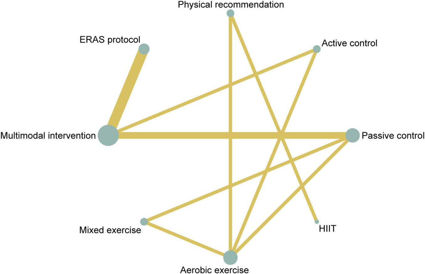Network diagram showing the relationships between various interventions: multimodal intervention, ERAS protocol, physical recommendation, active control, passive control, mixed exercise, aerobic exercise, and HIIT. Lines of varying thickness represent different levels of connection or interaction among interventions.