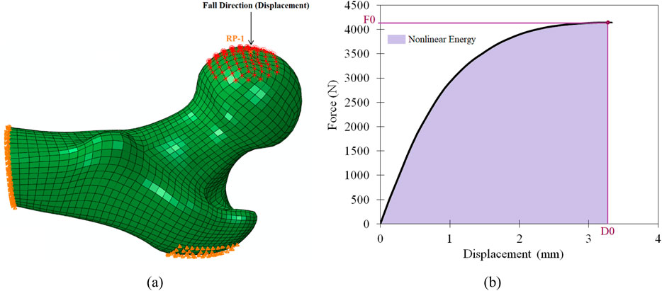 Image consists of two parts: (a) A green 3D mesh model representing a bone, with an arrow indicating the direction of fall labeled