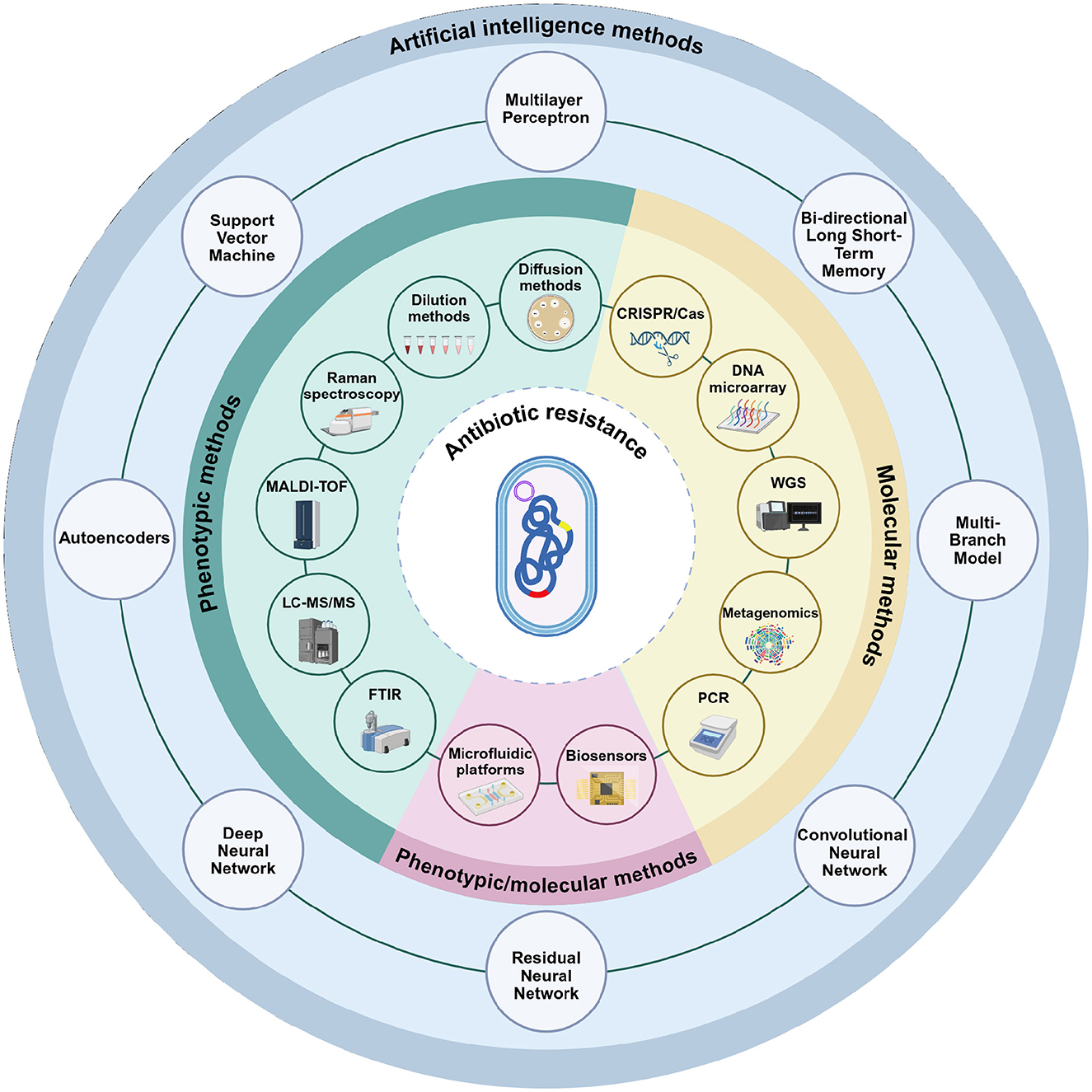 Diagram illustrating various methods to study antibiotic resistance. Central circle represents antibiotic resistance. Surrounding it are categories: phenotypic methods (e.g., dilution, diffusion, Raman spectroscopy), molecular methods (e.g., CRISPR/Cas, PCR, metagenomics), phenotypic/molecular methods (e.g., microfluidic platforms, biosensors), and artificial intelligence methods (e.g., neural networks, autoencoders). Each category is visually distinguished by color-coded sections.