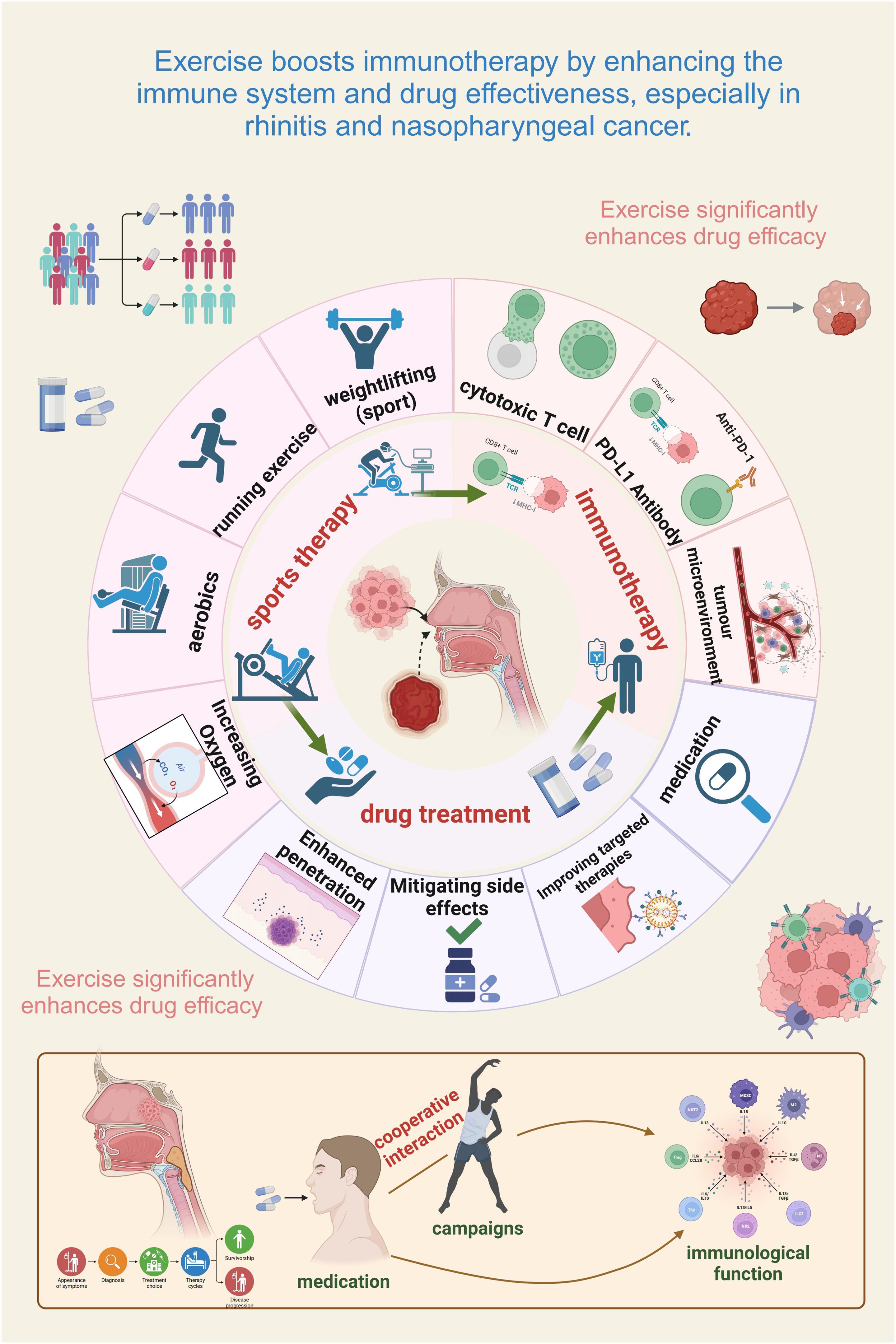 Circular infographic illustrating how exercise enhances immunotherapy and drug effectiveness for rhinitis and nasopharyngeal cancer. It shows a cycle from exercise and sports therapy to drug treatment, highlighting activities like aerobics and weightlifting. The diagram emphasizes the modulation of the immune environment, increasing oxygen, enhancing drug penetration, and reducing side effects. It depicts cooperative interactions between exercise, medication, and immunological function. Icons and illustrations accompany each segment to support the concepts visually.