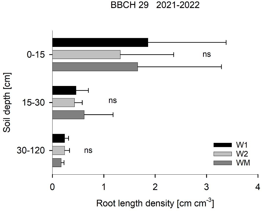 Bar chart showing root length density in centimeters per cubic centimeter at various soil depths (0-15 cm, 15-30 cm, 30-120 cm) for data sets W1, W2, and WM. The x-axis represents root length density, and the y-axis shows soil depth. Error bars indicate variability, with “ns” denoting non-significant differences. Chart is for BBCH 29, 2021-2022.