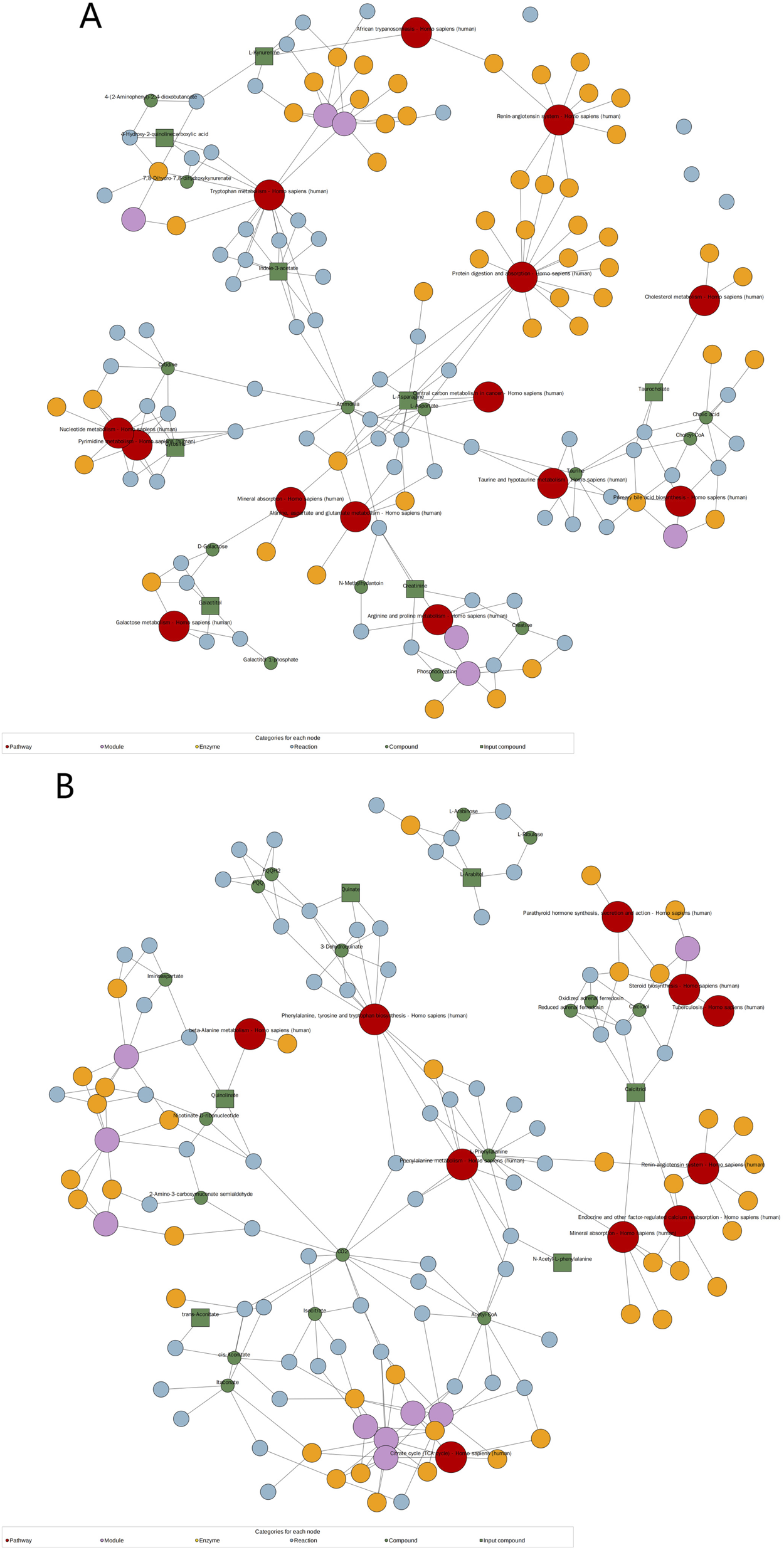 Diagram labeled A and B depicting complex networks of biochemical pathways. Nodes are color-coded: red for pathways, purple for modules, blue for enzymes, green for reactions, orange for compounds, and light green for input compounds. Lines connect nodes, showing interactions. Both diagrams illustrate different configurations of these elements, indicating diverse biochemical processes.