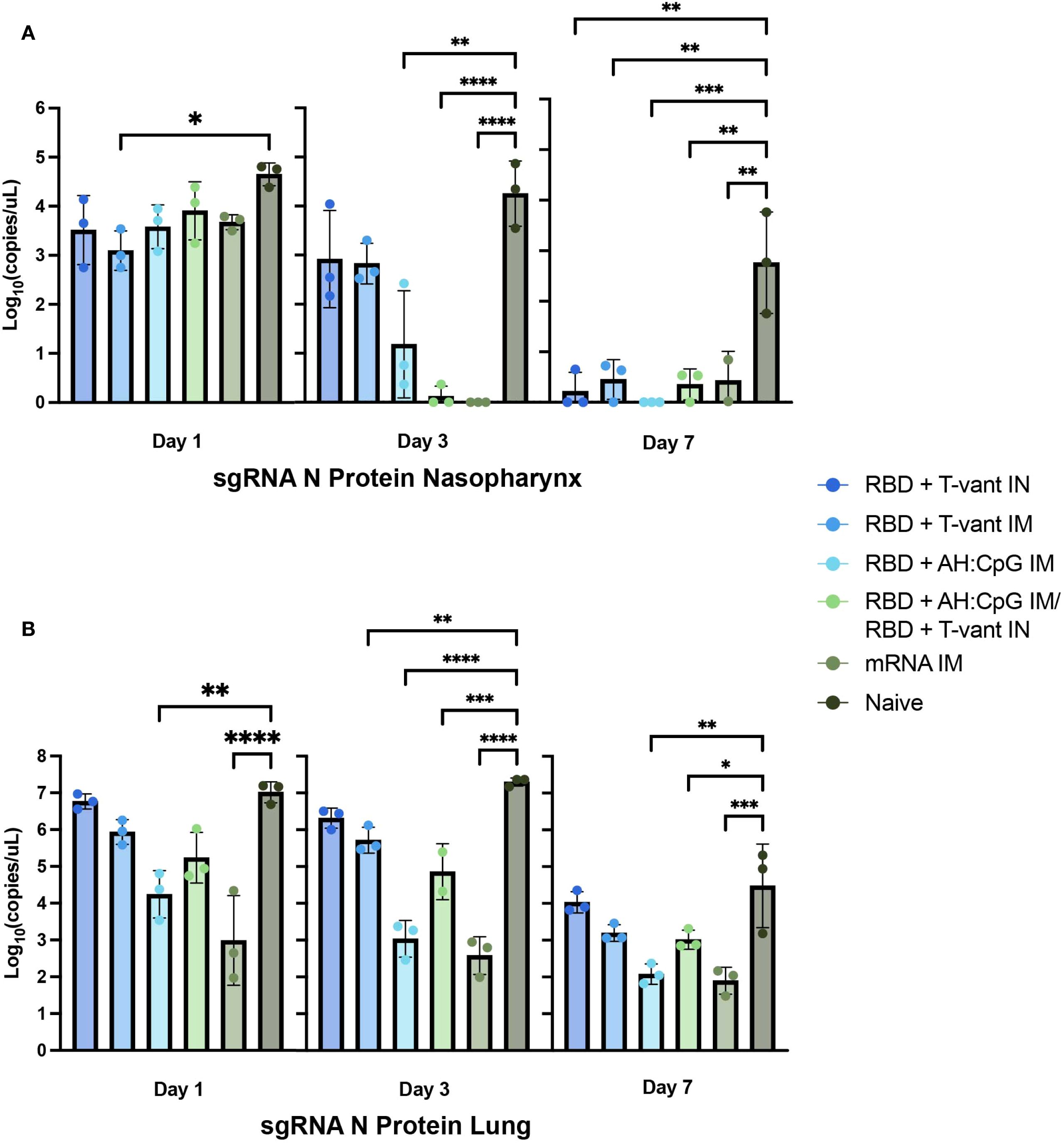 Bar graphs showing sgRNA N protein levels in the nasopharynx (A) and lung (B) on days 1, 3, and 7. Various treatments are compared: RBD + T-vant IN, RBD + T-vant IM, RBD + AH:CpG IM, RBD + AH:CpG IM / RBD + T-vant IN, mRNA IM, and Naive. Significant differences are marked with asterisks, indicating statistical significance at different levels (* for p < 0.05, ** for p < 0.01, *** for p < 0.001, **** for p < 0.0001).