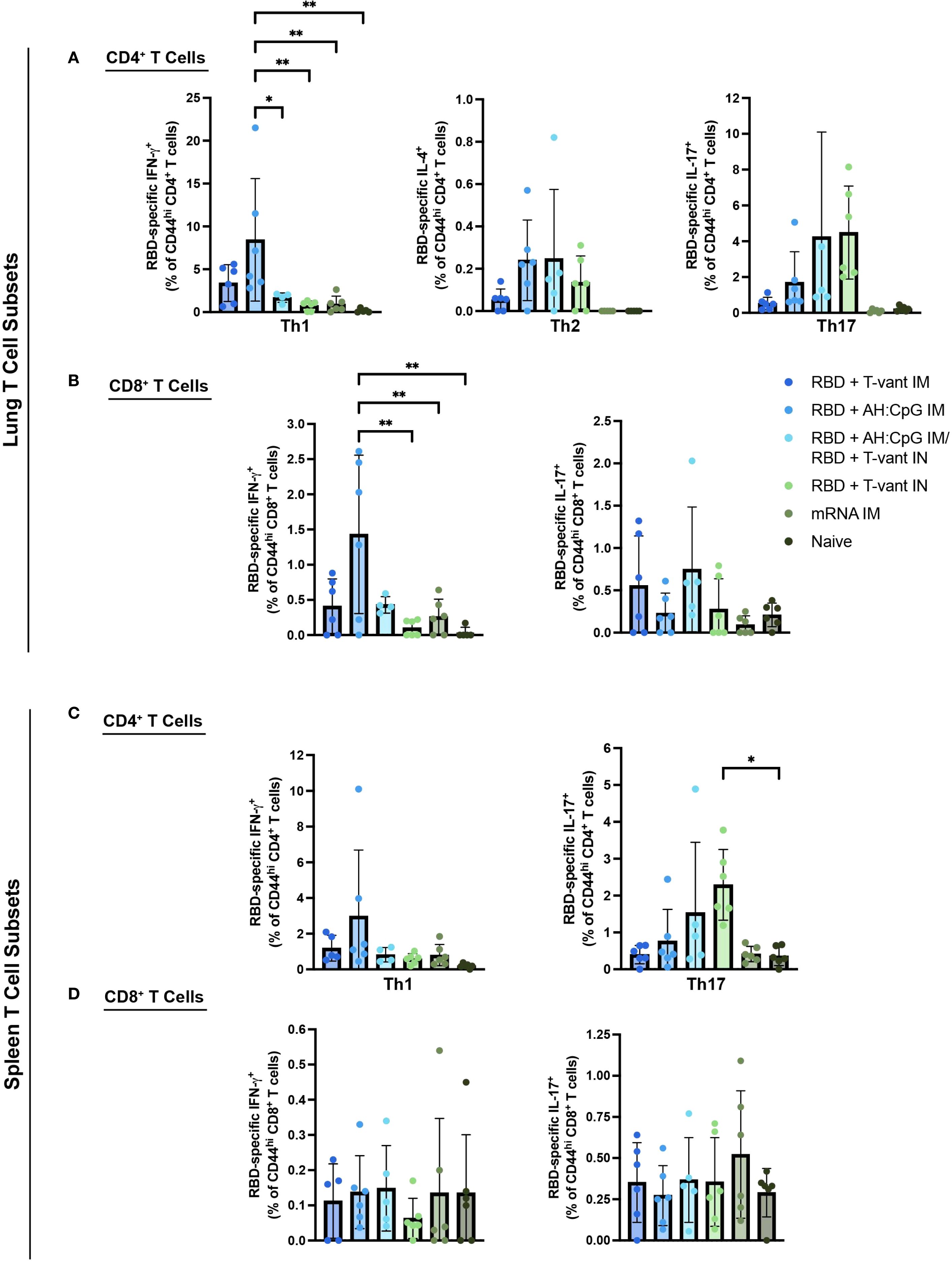 Bar graphs illustrating RBD-specific cytokine responses in lung and spleen T cell subsets. Panels A and B show CD4+ and CD8+ T cells from the lung, with data for Th1, Th2, and Th17 cells. Panels C and D show CD4+ and CD8+ T cells from the spleen, focusing on IFN-Îł and IL-17. Different treatments and controls are indicated by color-coded bars. Asterisks denote statistical significance.