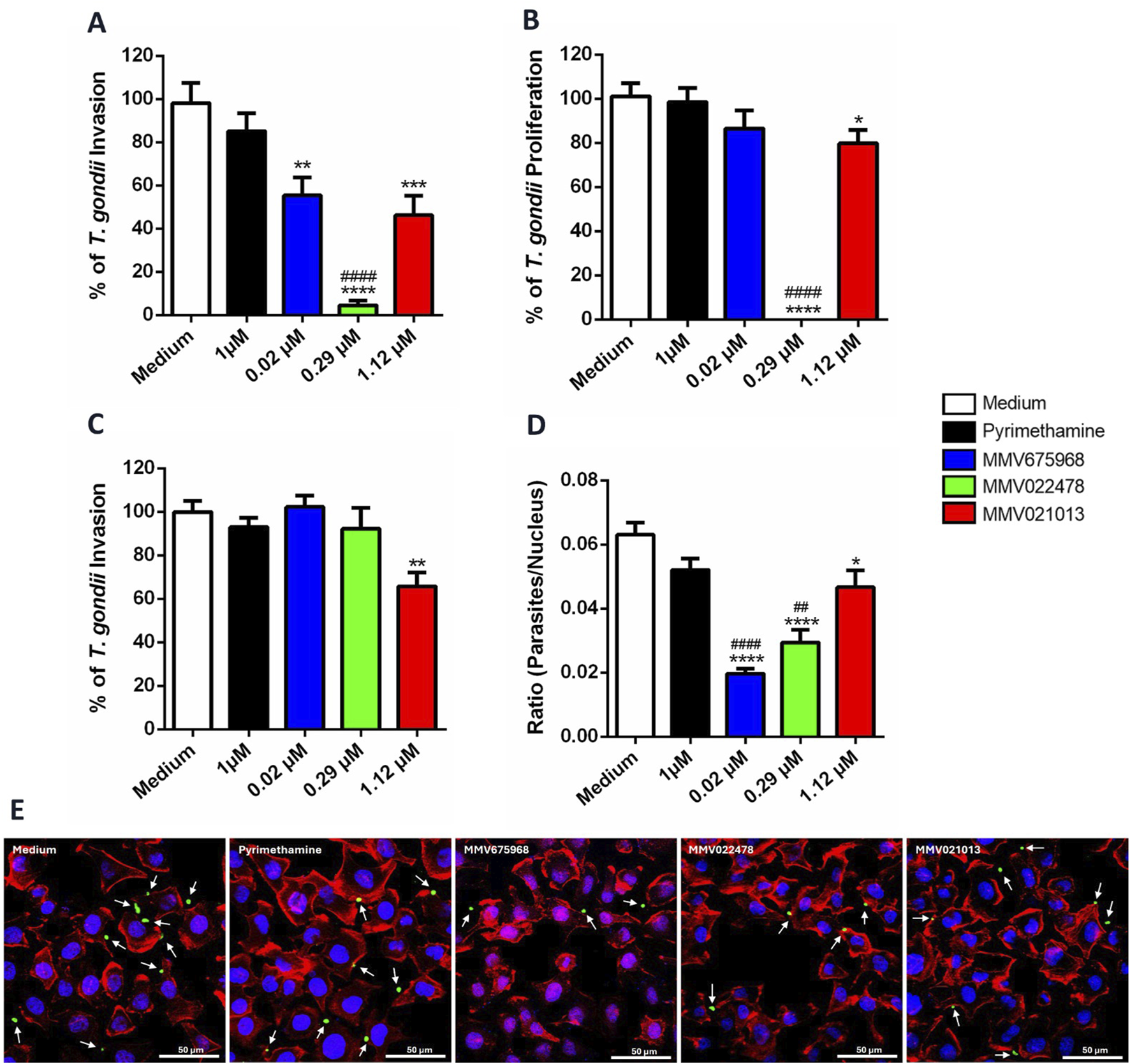 Bar charts A to D illustrate the effects of pyrimethamine and compounds MMV675968, MMV022478, and MMV021013 on T. gondii invasion and proliferation. Chart A shows invasion percentage; B shows proliferation percentage; C shows invasion percentage comparison; D shows the parasite to nucleus ratio. Image E displays microscopy images of T. gondii treated with different compounds, indicated by arrows, highlighting differences in invasion and proliferation.