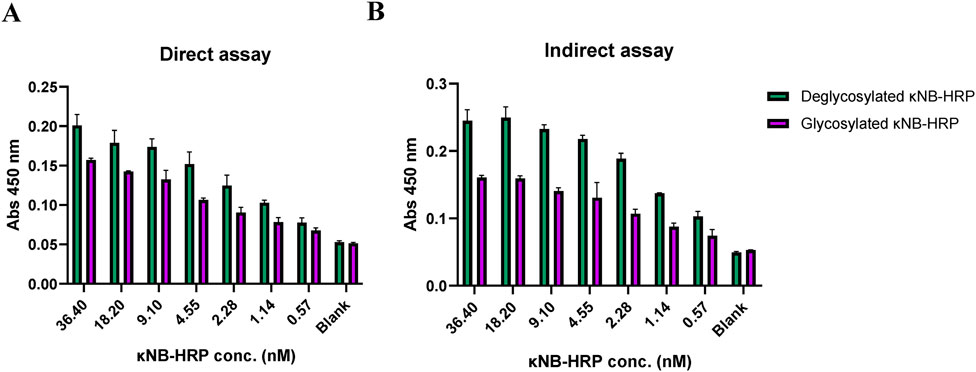 Bar graphs showing results of ELISA direct and indirect assays. Graph A, labeled “Direct assay,” displays absorbance at 450 nanometers for deglycosylated and glycosylated κNB-HRP at various concentrations. Graph B, labeled “Indirect assay,” shows similar data. Deglycosylated κNB-HRP is represented in green and glycosylated κNB-HRP in purple. Both graphs indicate decreasing absorbance with lower κNB-HRP concentrations.