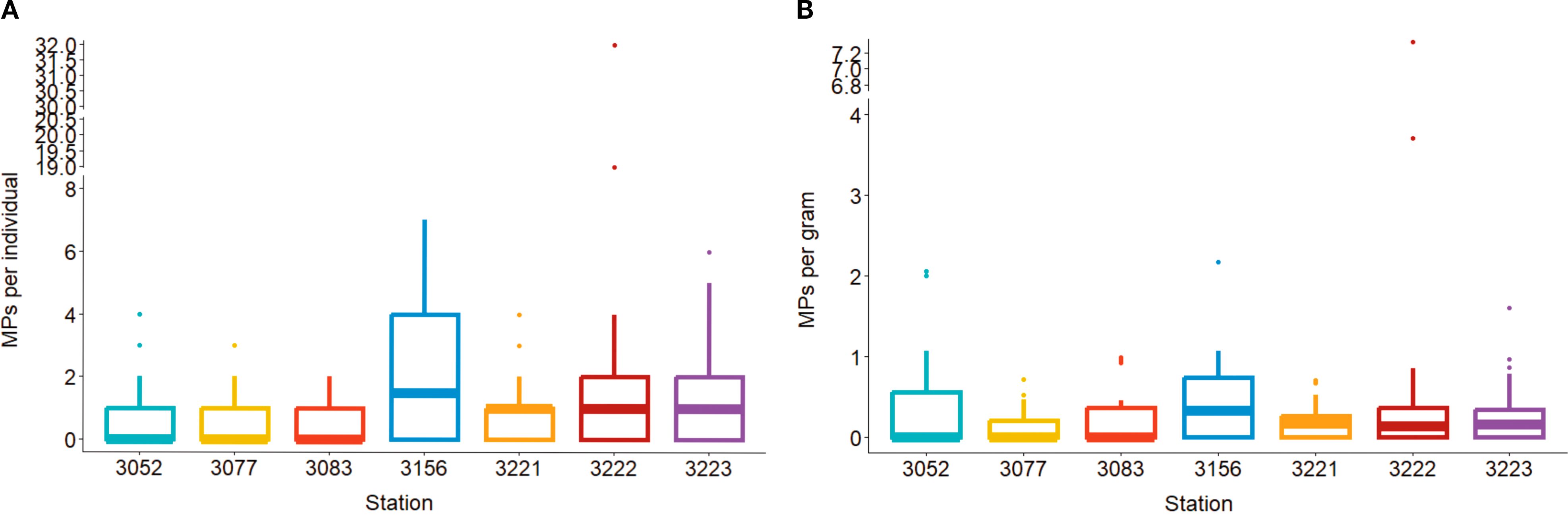 Two box plot graphs compare microplastic content across stations 3052, 3077, 3083, 3156, 3221, 3222, and 3223. The left graph shows microplastics per individual, and the right shows microplastics per gram. Station 3156 has the highest values in both graphs. Various outliers are present across stations.