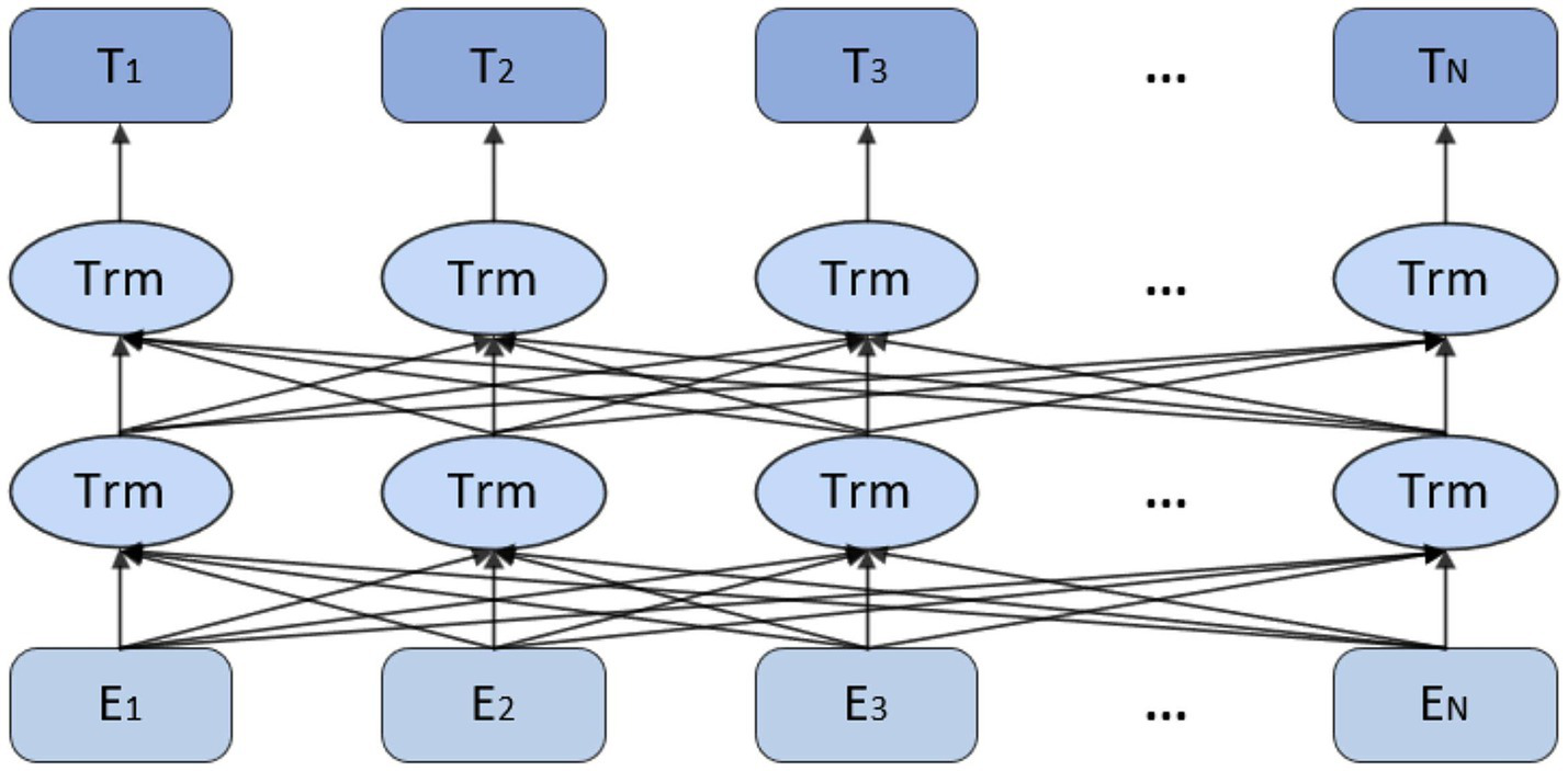 A layered network diagram with three rows of nodes. The top row has nodes labeled T1 to TN; the middle row has identical nodes labeled Trm; the bottom row has nodes labeled E1 to EN. Arrows connect the rows vertically and diagonally, indicating data flow between them.