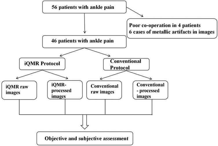 Flowchart of a study involving 56 patients with ankle pain, reduced to 46 due to poor cooperation and metallic artifacts in images. Patients divide into iQMR and Conventional Protocols, further subdivided into raw and processed images for both. All images undergo objective and subjective assessment.