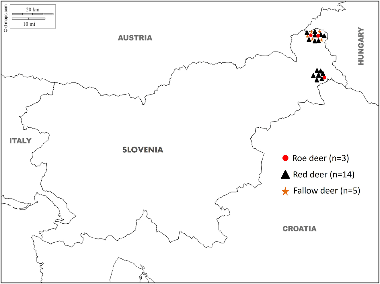Map of Slovenia with parts of Austria, Italy, Hungary, and Croatia. Symbol locations indicate deer populations: red circles for roe deer (3), black triangles for red deer (14), and orange stars for fallow deer (5). Deer are concentrated near the northeastern Slovenian border. Scale is 20 kilometers or 10 miles.