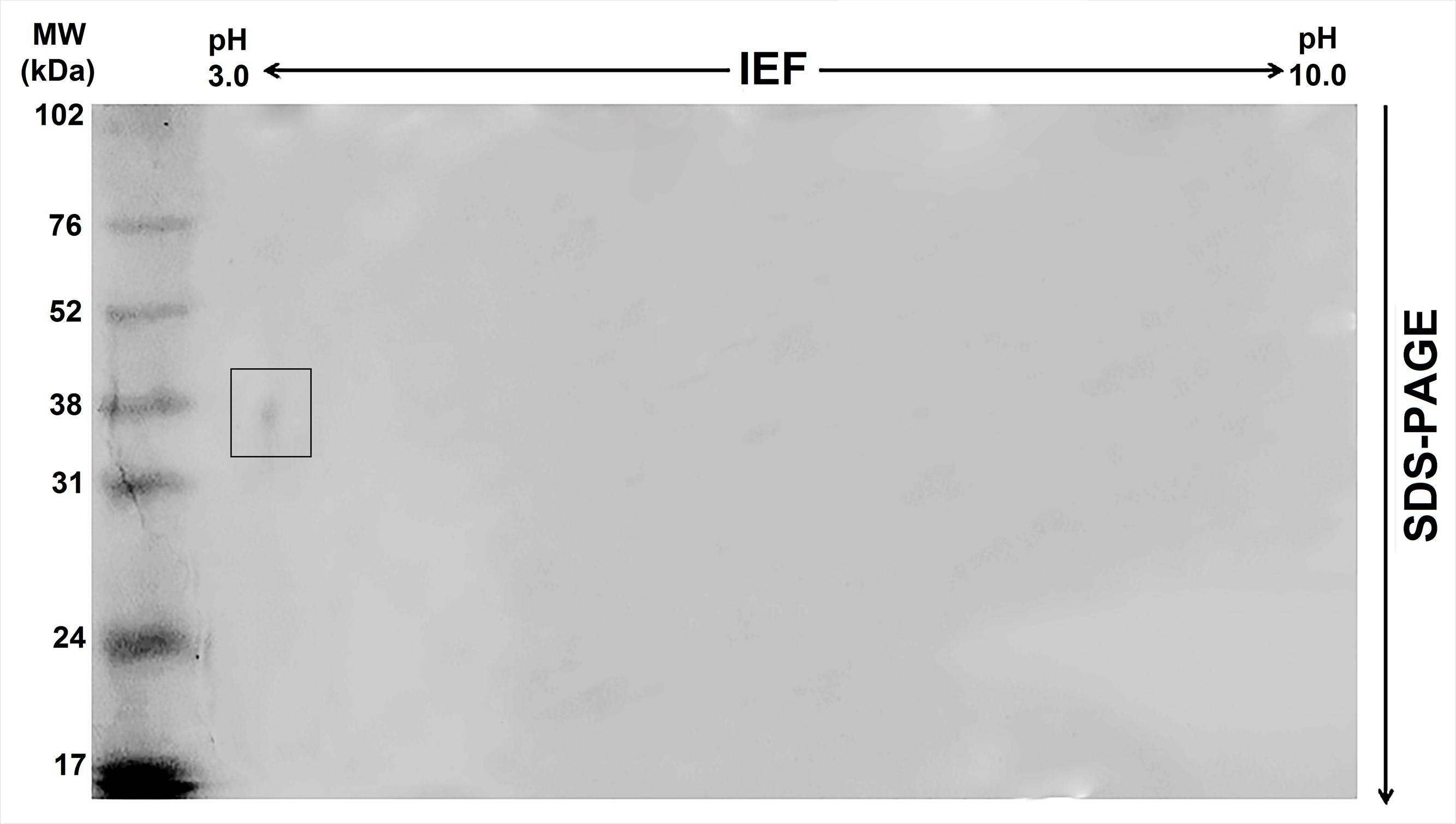 www.frontiersin.org