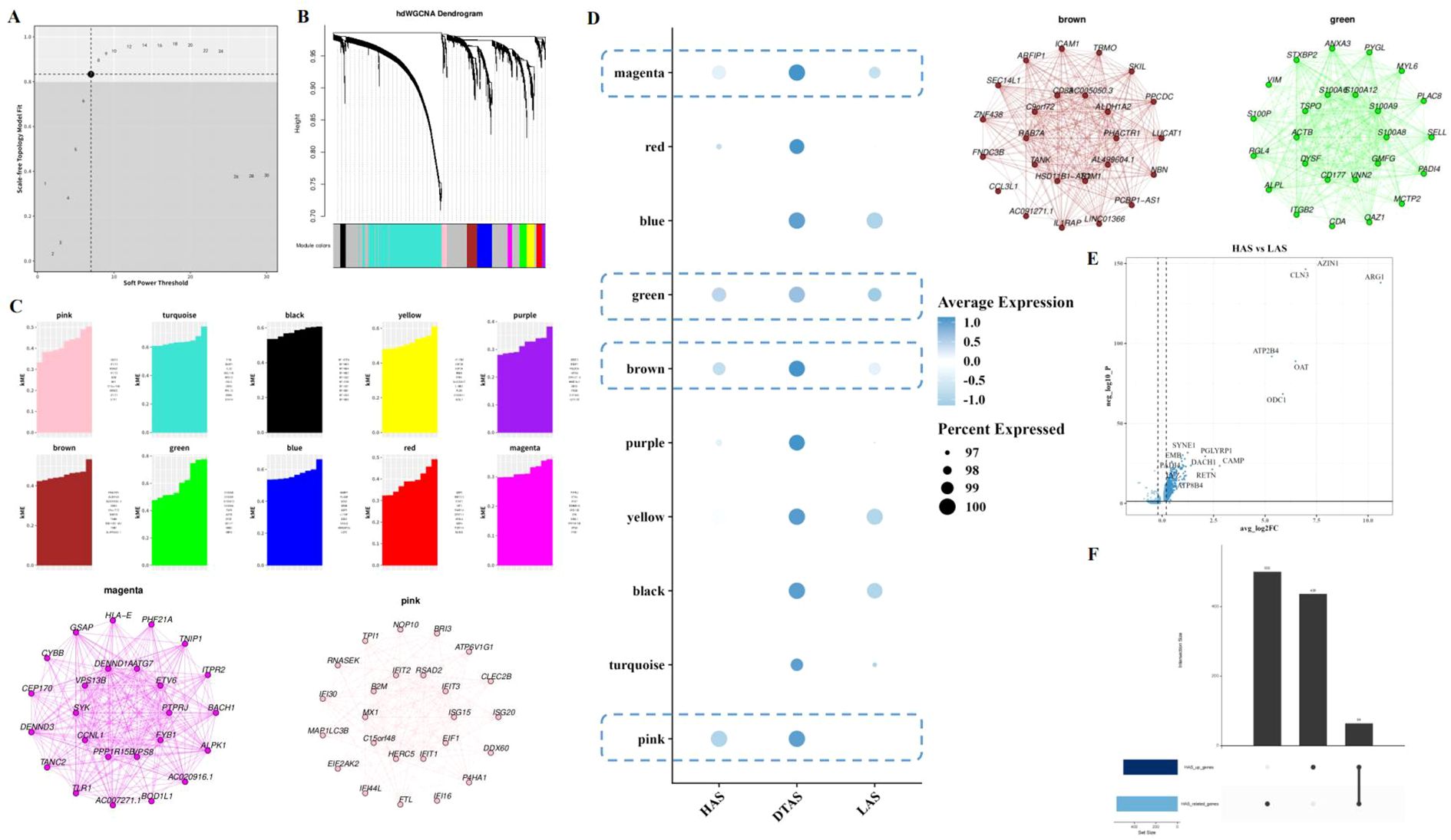 A composite image features multiple scientific data visualizations. Panel A displays a scatter plot illustrating scale independence versus soft power threshold. Panel B shows a dendrogram with module color bars indicating hierarchical clustering. Panel C presents bar charts for various modules, each in different colors such as pink, turquoise, and black, along with network diagrams below. Panel D contains a bubble plot with different gene module expressions across three conditions: HAS, DTAS, and LAS, with a color scale for average expression and bubble size for expression percentage. Panel E showcases a volcano plot comparing HAS and LAS data with labeled significant genes. Panel F includes bar charts comparing gene expression with statistical significance markers.