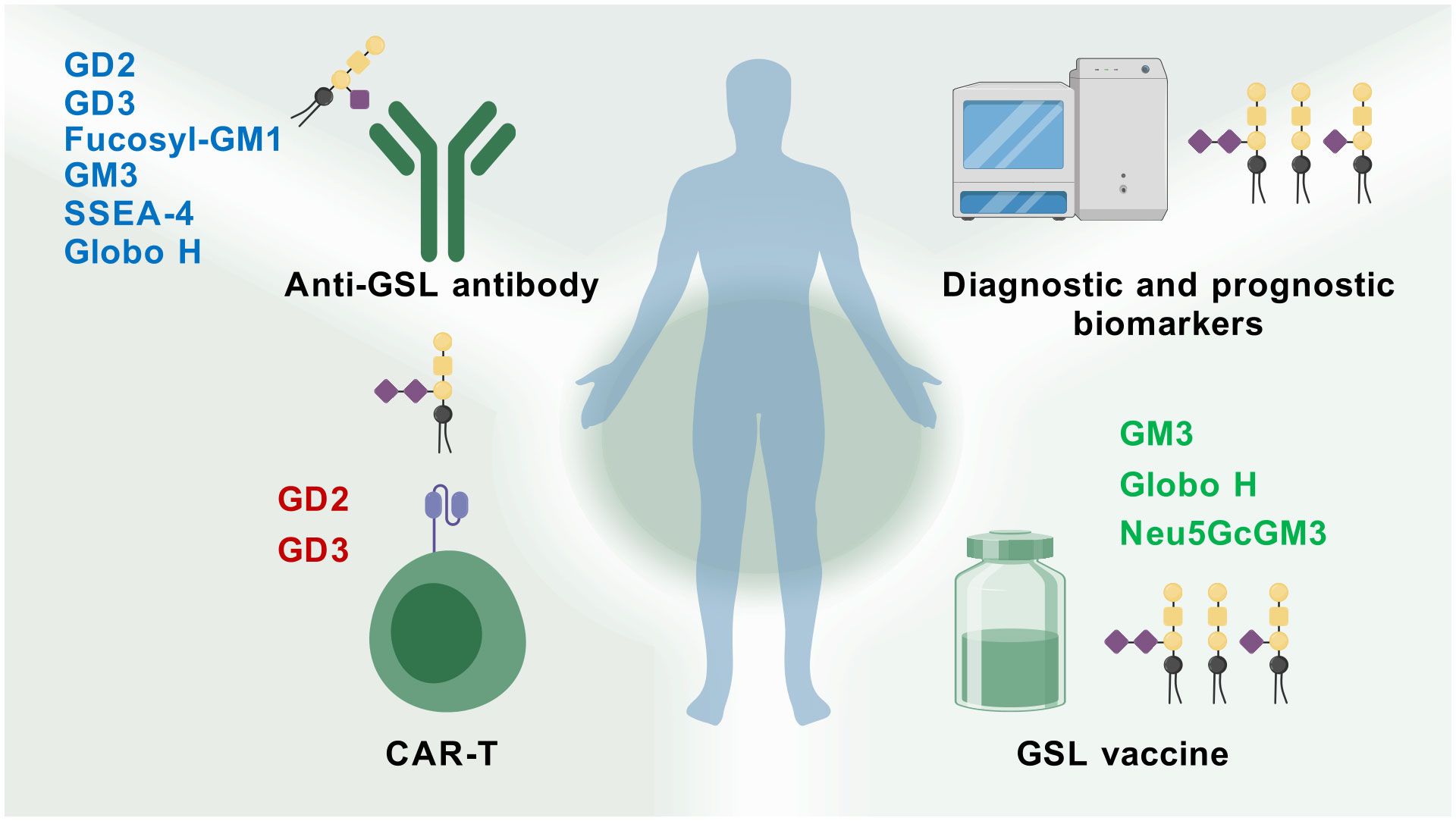 Diagram depicting glycolipid targets for cancer immunotherapy. On the left, glycolipids GD2, GD3, Fucosyl-GM1, GM3, SSEA-4, and Globo H are linked with anti-GSL antibodies. Bottom left shows GD2 and GD3 associated with CAR-T. Right side displays GM3, Globo H, and Neu5GcGM3 as diagnostic and prognostic biomarkers, alongside a diagnostic machine and GSL vaccine. Central silhouette represents human focus.