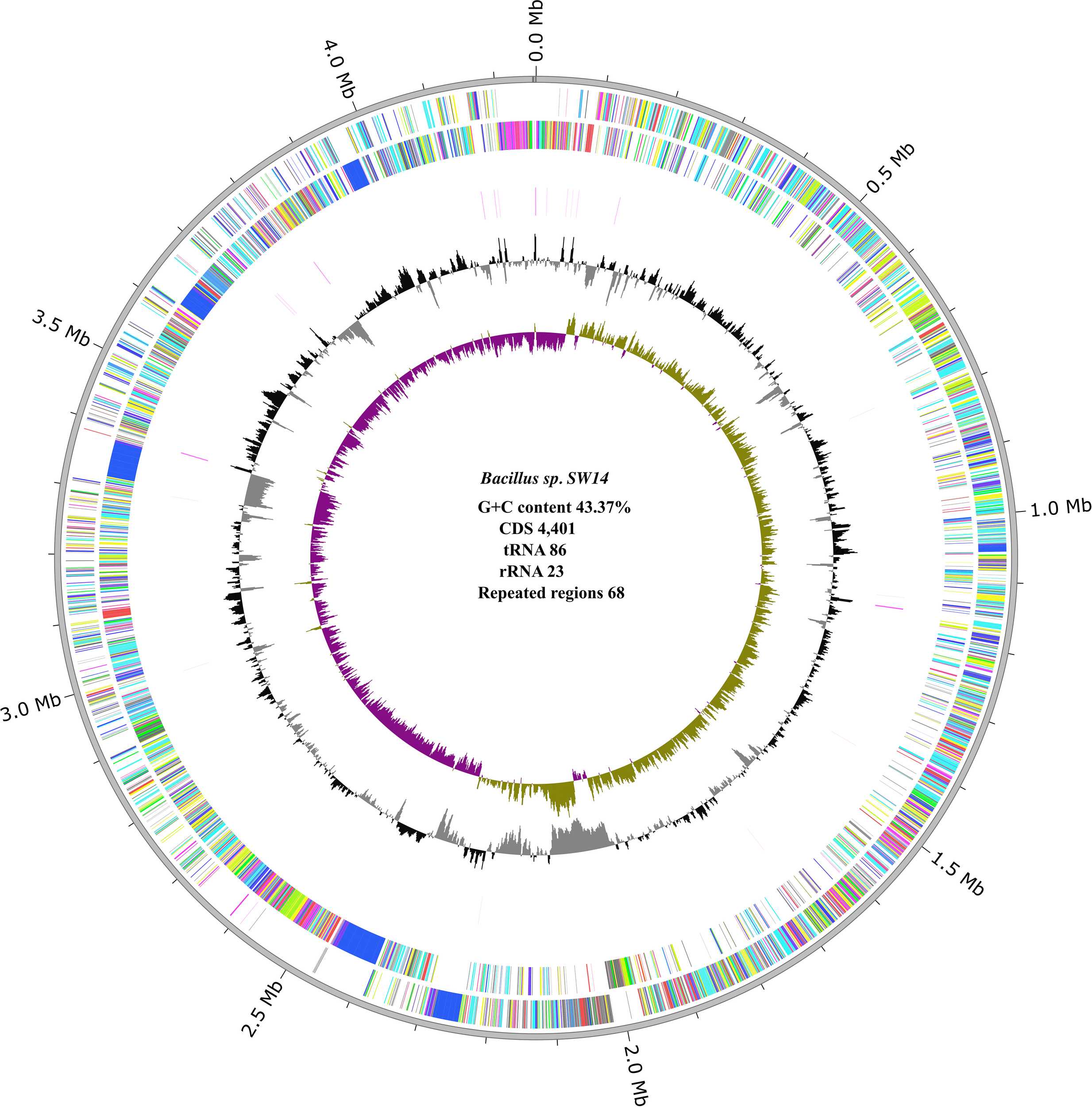 Circular genomic map of *Bacillus sp. SW14*, showing various features. Inner circles display G+C content and GC skew with plotted histograms. Outer rings indicate coding sequences (CDS), transfer RNA (tRNA), and ribosomal RNA (rRNA) regions. Text in the center notes 43.37% G+C content, 4,401 CDS, 86 tRNA, 23 rRNA, and 68 repeated regions. The map is labeled with megabase (Mb) positions.