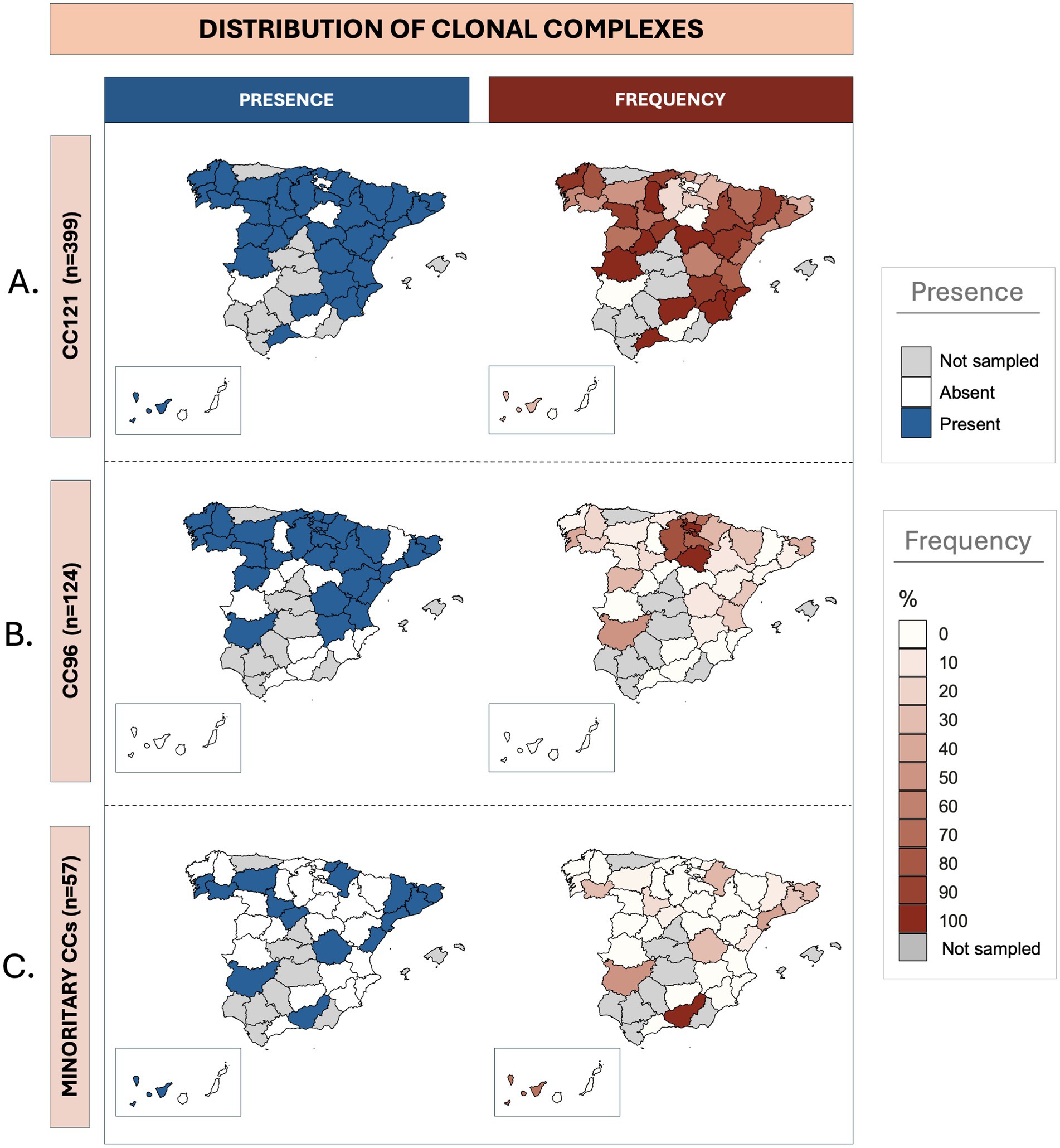 Distribution maps showing the distribution of the most present clonal complexes in Spain, categorized as CC121, CC96, and minority complexes. Each category has two maps: presence (blue color) and frequence (red shades highlighting regions with varying isolation frequencies).
