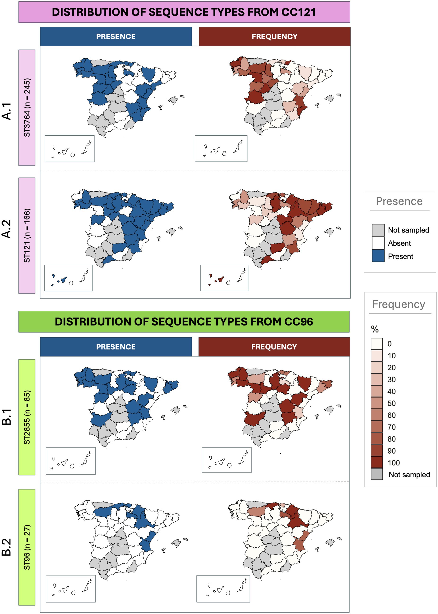 Maps showing the distribution of sequence types from CC121 and CC96 in Spain. For CC121: ST376 and ST121; for CC96: ST2855 and ST96. Each sequence type has two maps displaying presence and frequence. Presence maps use blue color, frequency maps use red shading with a scale depending on frequencies. Legends indicate “Not sampled,” “Absent,” and “Present” areas.