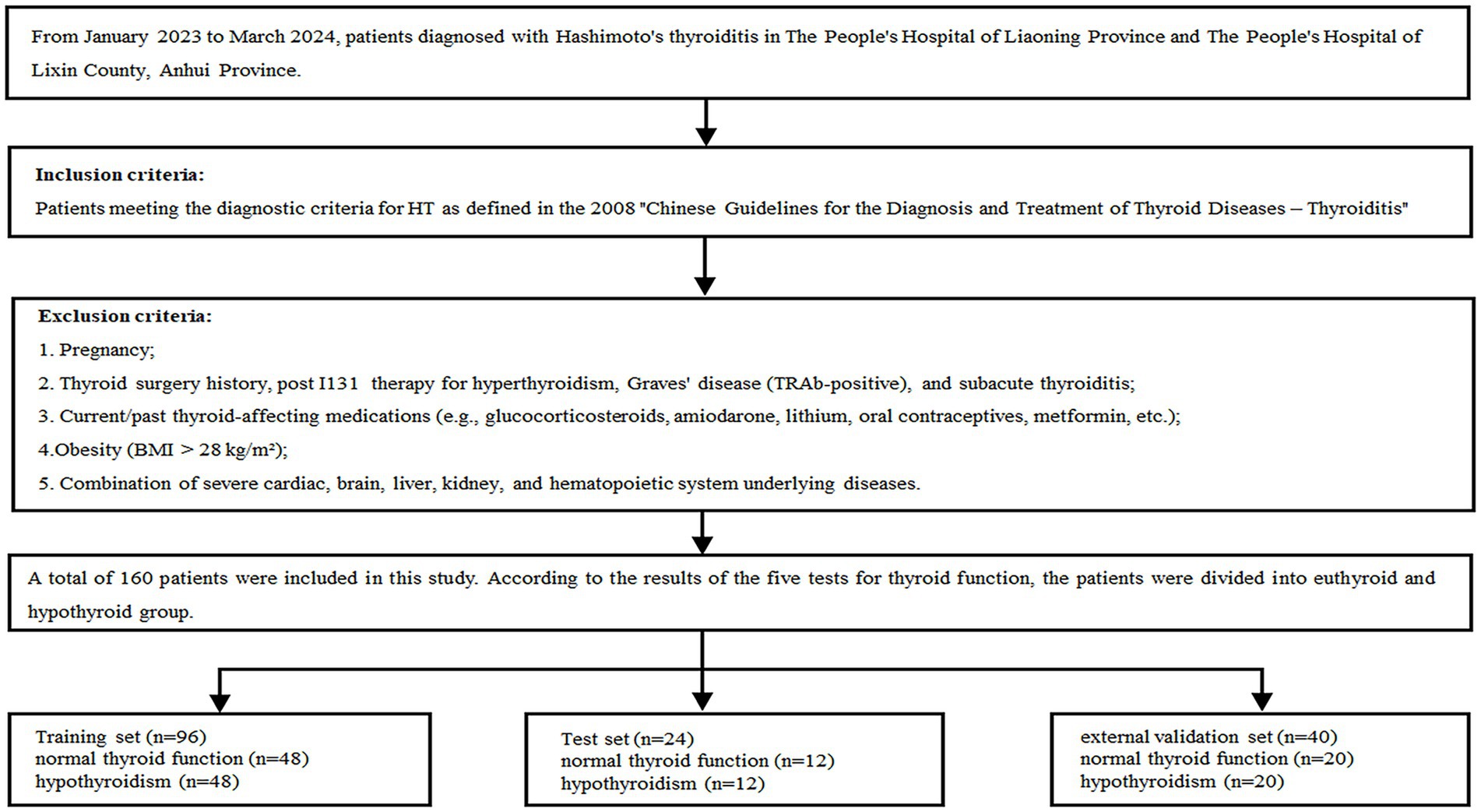 Flowchart depicting patient inclusion and exclusion criteria for a study on Hashimoto's thyroiditis from January 2023 to March 2024. Inclusion involves those fitting the 2008 Chinese Guidelines. Exclusion criteria include pregnancy, specific medical histories, certain medications, obesity, and severe diseases. Out of 160 patients, divided into euthyroid and hypothyroid groups, data sets include: training set with 96 patients (48 normal, 48 hypothyroid), test set with 24 (12 normal, 12 hypothyroid), and external validation set with 40 (20 normal, 20 hypothyroid).