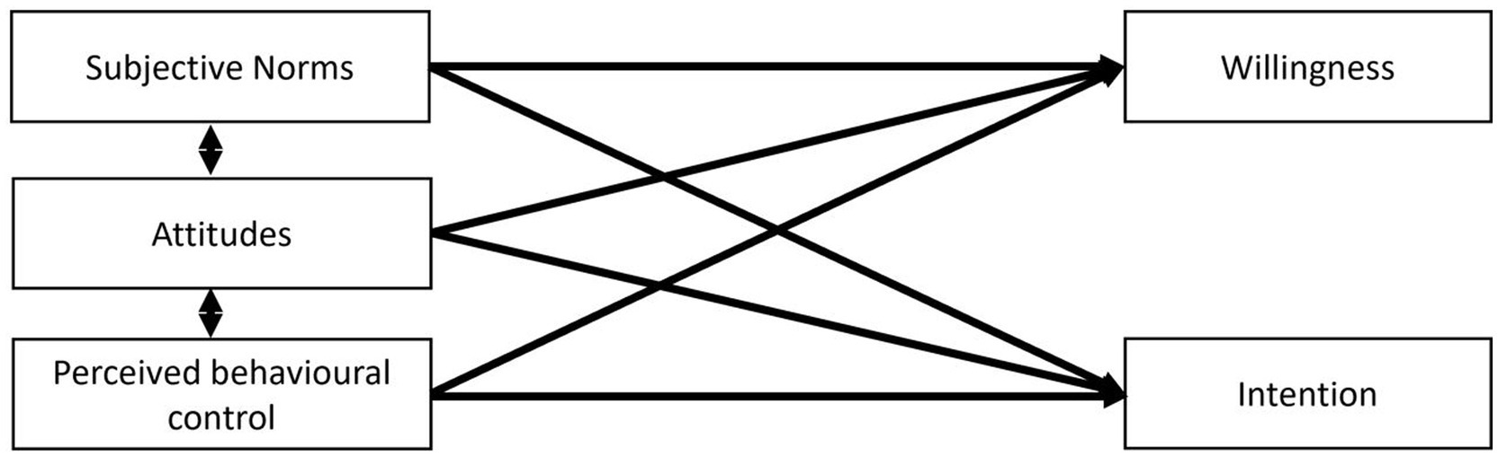 Chart showing relationships between variables influencing willingness and intention. Subjective norms, attitudes, and perceived behavioral control link to both willingness and intention. Attitudes, subjective norms and perceived behavioral control have a reciprocal relationship.