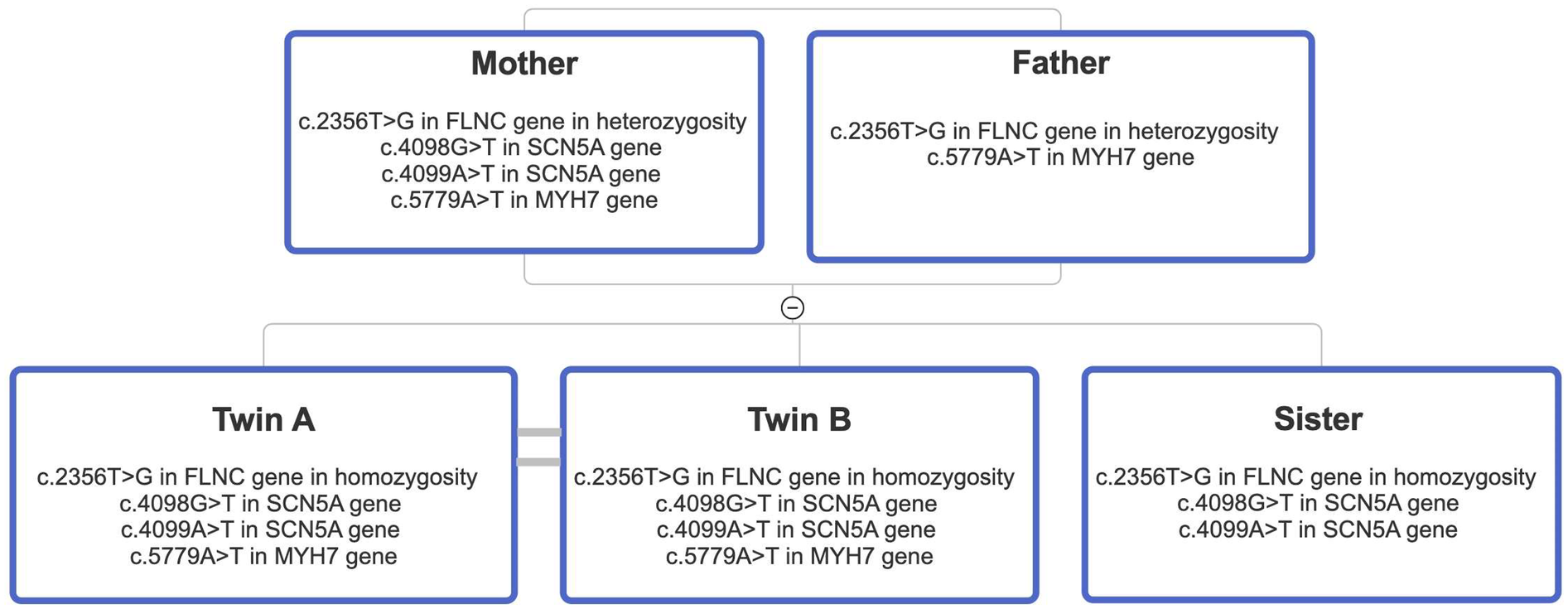 Genetic pedigree chart displaying inheritance patterns of specific gene variants. The mother and father both have c.2356T>G in FLNC and c.5779A>T in MYH7 in heterozygosity. The mother also has c.4098G>T and c.4099A>T in SCN5A. Twin A and Twin B have all four variants in homozygosity. The sister has c.2356T>G in FLNC in homozygosity, and c.4098G>T and c.4099A>T in SCN5A.