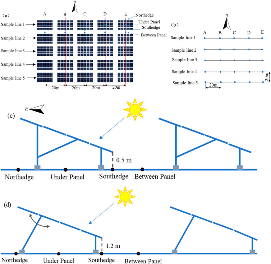 Diagram illustrating solar panel layouts and sunlight angles. (a) Shows panel arrangement with samples labeled A to E along five sample lines. (b) Simplifies layout with point representations. (c) Show the southern edge of the solar panel at a height of 0.5 metres above ground level. (d) Show the southern edge of the solar panel at a height of 1.2 metres above ground level.