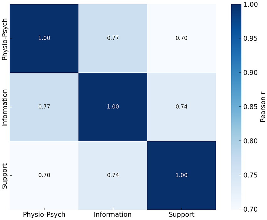Correlation matrix heatmap with three variables: Physio-Psych, Information, and Support. Each variable correlates perfectly with itself at 1.00, marked in dark blue. Physio-Psych correlates with Information at 0.77 and Support at 0.70. Information correlates with Support at 0.74. A color gradient from white to dark blue indicates correlation strength.