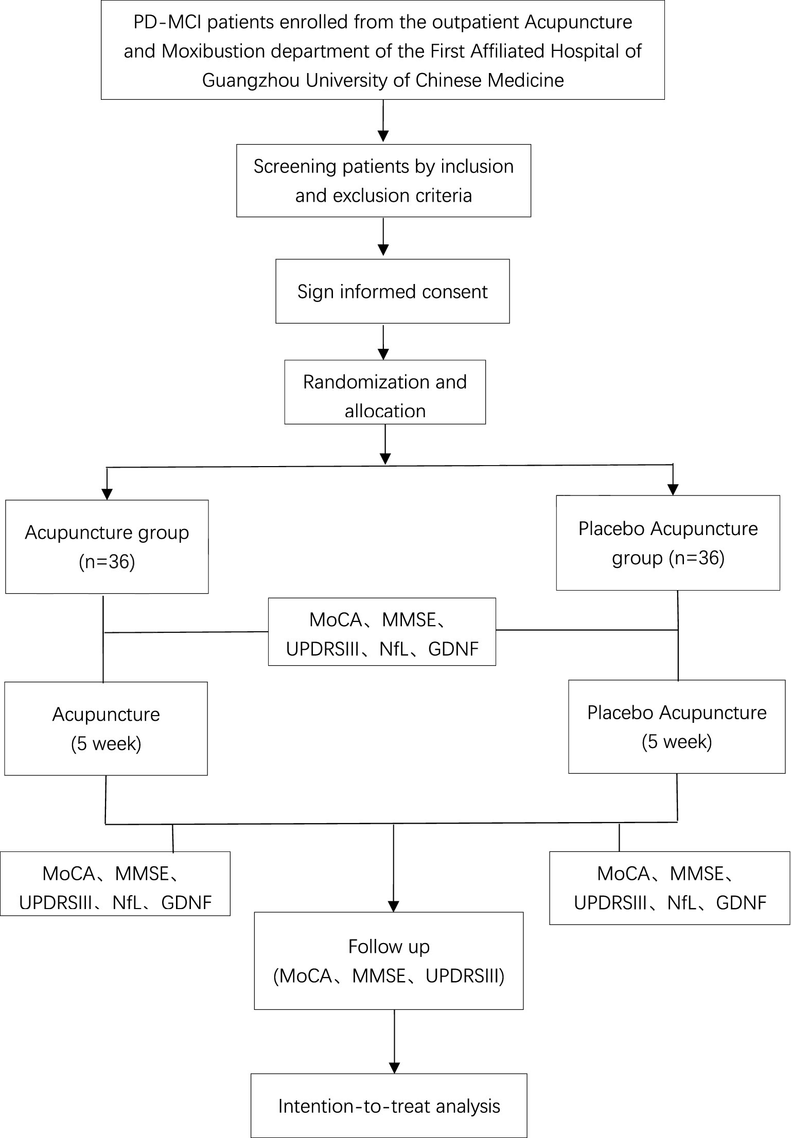 Flowchart detailing a study of PD-MCI patients at an acupuncture and moxibustion department. Patients are screened, consent is obtained, and they are randomized into two groups: Acupuncture (36 patients) and Placebo Acupuncture (36 patients). Both groups undergo treatment for five weeks, followed by assessments using MoCA, MMSE, UPDRS III, NfL, and GDNF. A follow-up includes MoCA, MMSE, and UPDRS III assessments, leading to an intention-to-treat analysis.