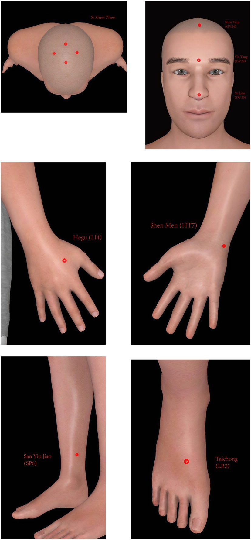 Illustration of various acupressure points on the human body. The points are marked in red and labeled: Si Shen Zhen on the top of the head, Shen Ting (GV 24) and Yin Tang (GV 29) on the forehead, Su Liao (DU 25) on the nose, Hegu (LI 4) on the hand, Shen Men (HT 7) on the wrist, San Yin Jiao (SP 6) on the lower leg, and Taichong (LR 3) on the foot.