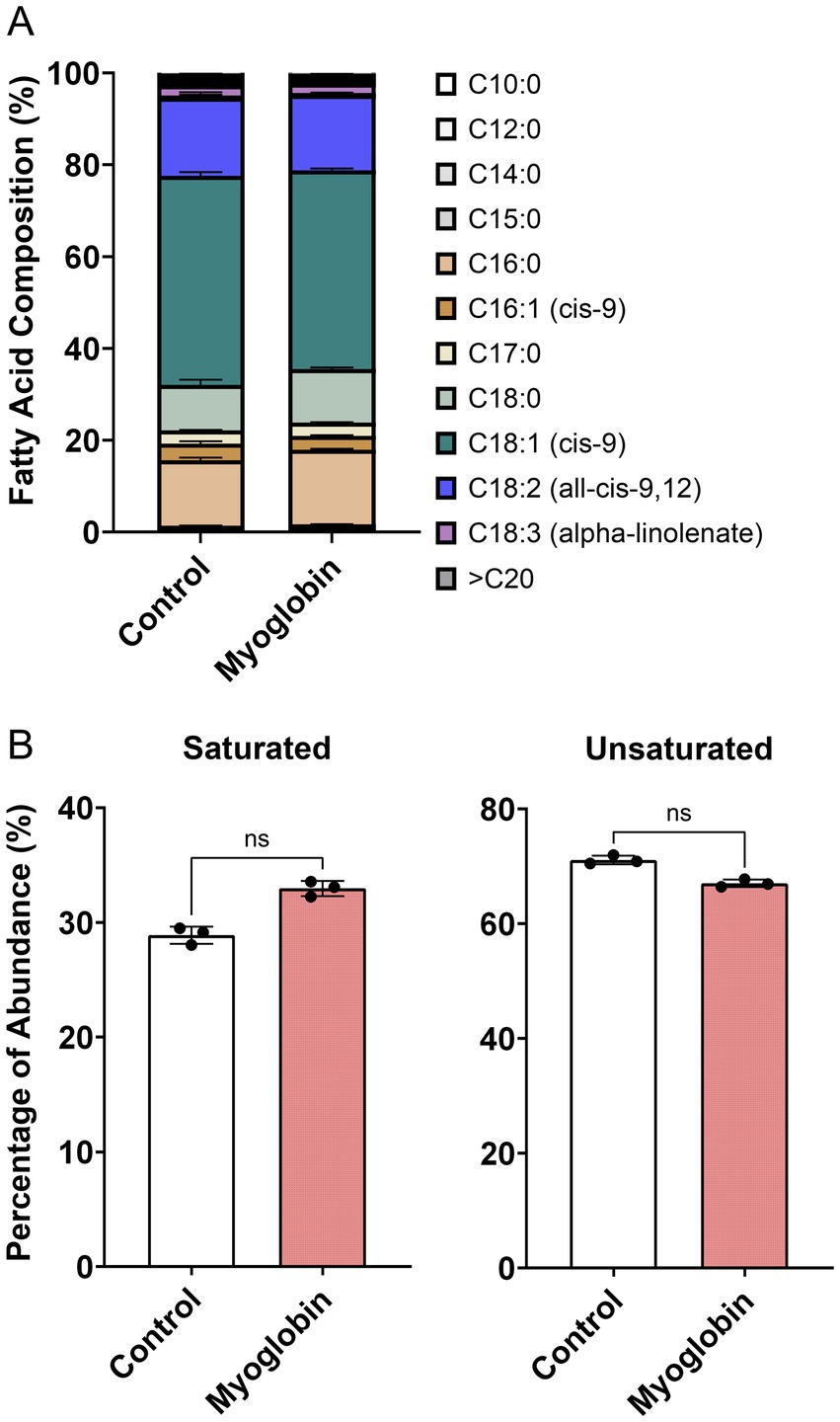 Chart A shows a stacked bar graph comparing fatty acid composition percentages in control and myoglobin samples, with various fatty acids represented by different colors. Chart B features bar graphs comparing the percentage abundance of saturated and unsaturated fatty acids between control and myoglobin samples. Saturated fatty acids are approximately 30% and unsaturated about 65% in both samples, with