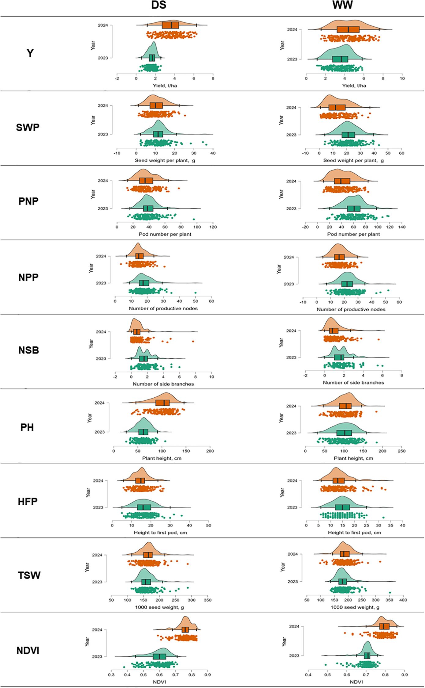 Boxplots comparing data for eight different plant characteristics between the years 2023 and 2024 under two conditions: DS and WW. Each row represents a characteristic such as yield, seed weight, or pod number, with orange representing 2024 and green representing 2023. Both conditions show variations in measurements, indicated by the range and distribution of the boxplots.