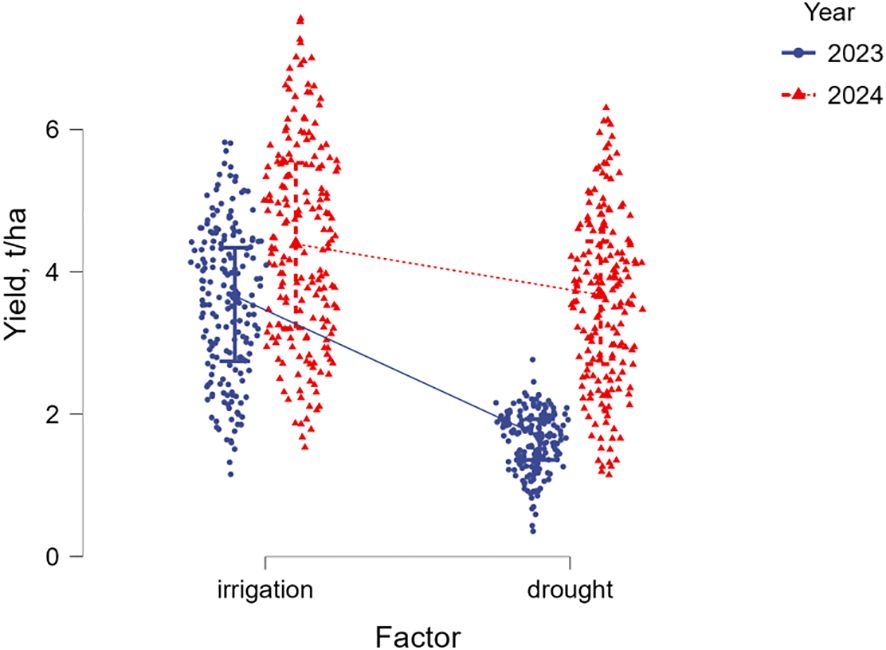 Scatter plot showing agricultural yield in tons per hectare on the y-axis under two factors: irrigation and drought, marked on the x-axis. Data from 2023 is represented by blue dots, and 2024 by red triangles. Yields are higher under irrigation than drought, with 2024 generally showing increased yields compared to 2023. Lines connect median values between factors for each year.
