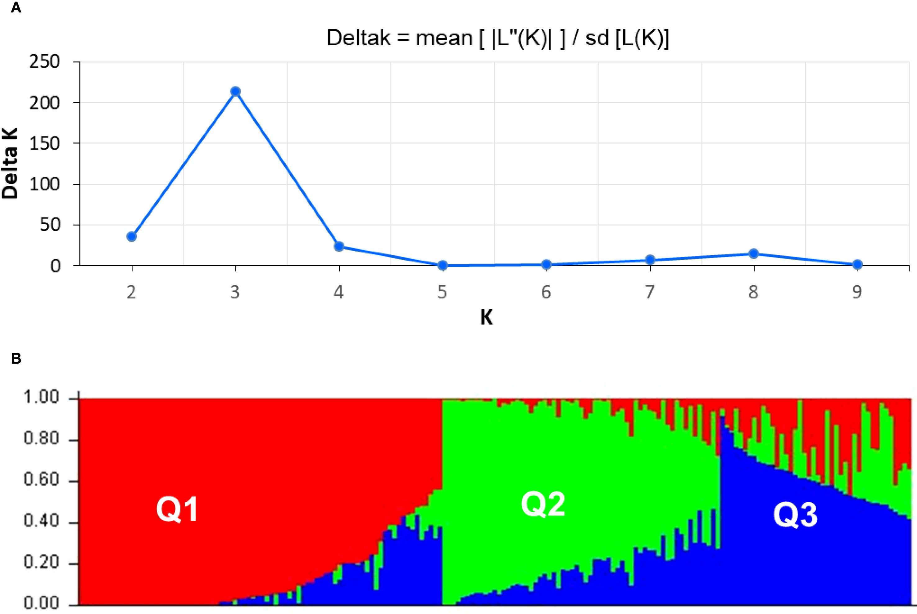 Chart A is a line graph showing Delta K against K, peaking at K equals three. Chart B is a stacked bar plot with sections labeled Q1, Q2, and Q3, colored red, green, and blue respectively.