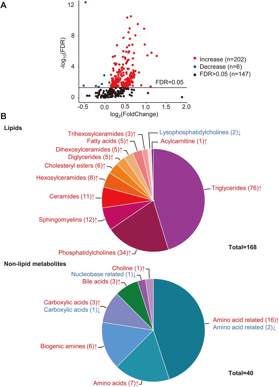 A two-part figure: A) A scatter plot with log2(FoldChange) on the x-axis and -log10(FDR) on the y-axis, showing changes in metabolites. Red dots indicate increased levels (n=202), blue indicate decreased (n=6), and black indicate FDR > 0.05 (n=147). B) Two pie charts: the first shows 168 lipid metabolites with triglycerides and phosphatidylcholines as major components; the second shows 40 non-lipid metabolites with amino acid related metabolites as the largest group. Arrows indicate increase or decrease.
